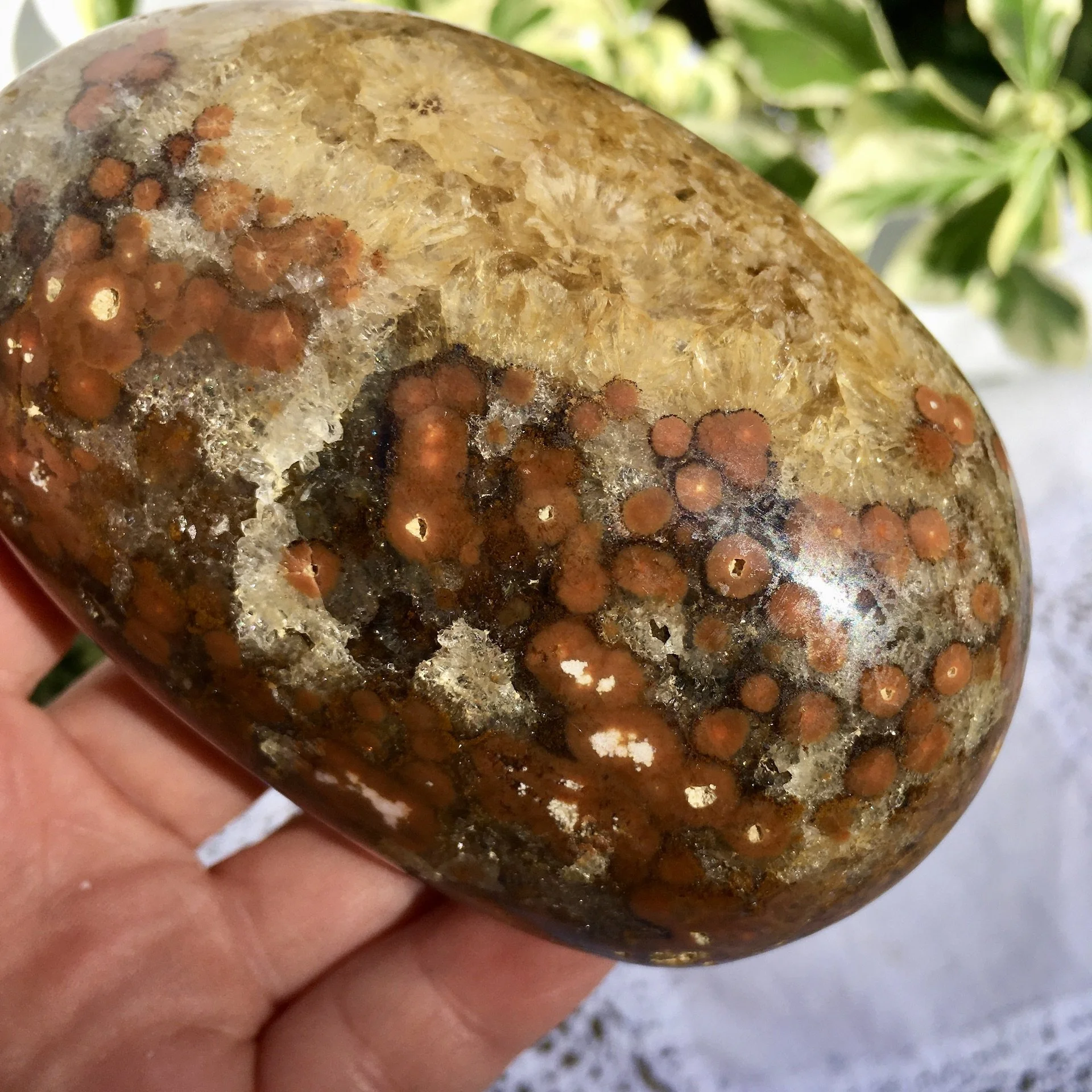 Orbicular Jasper Pebble 8e.jpeg