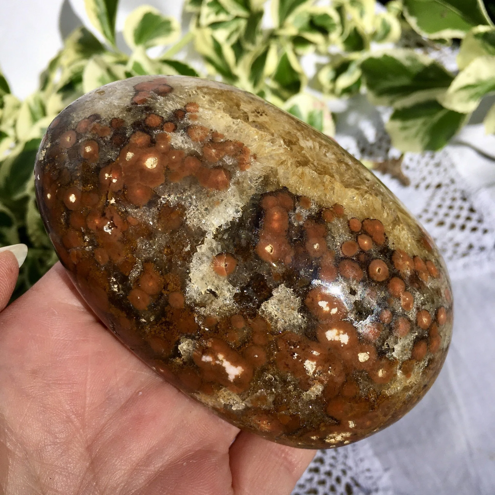 Orbicular Jasper Pebble 8c.jpeg