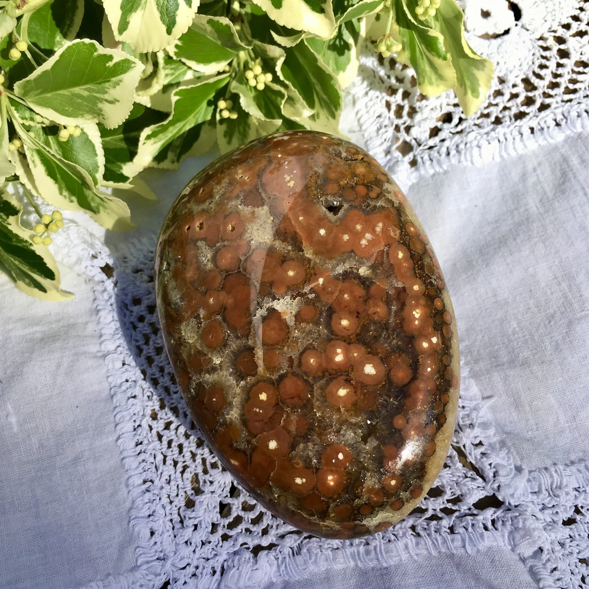 Orbicular Jasper Pebble 8b.jpeg