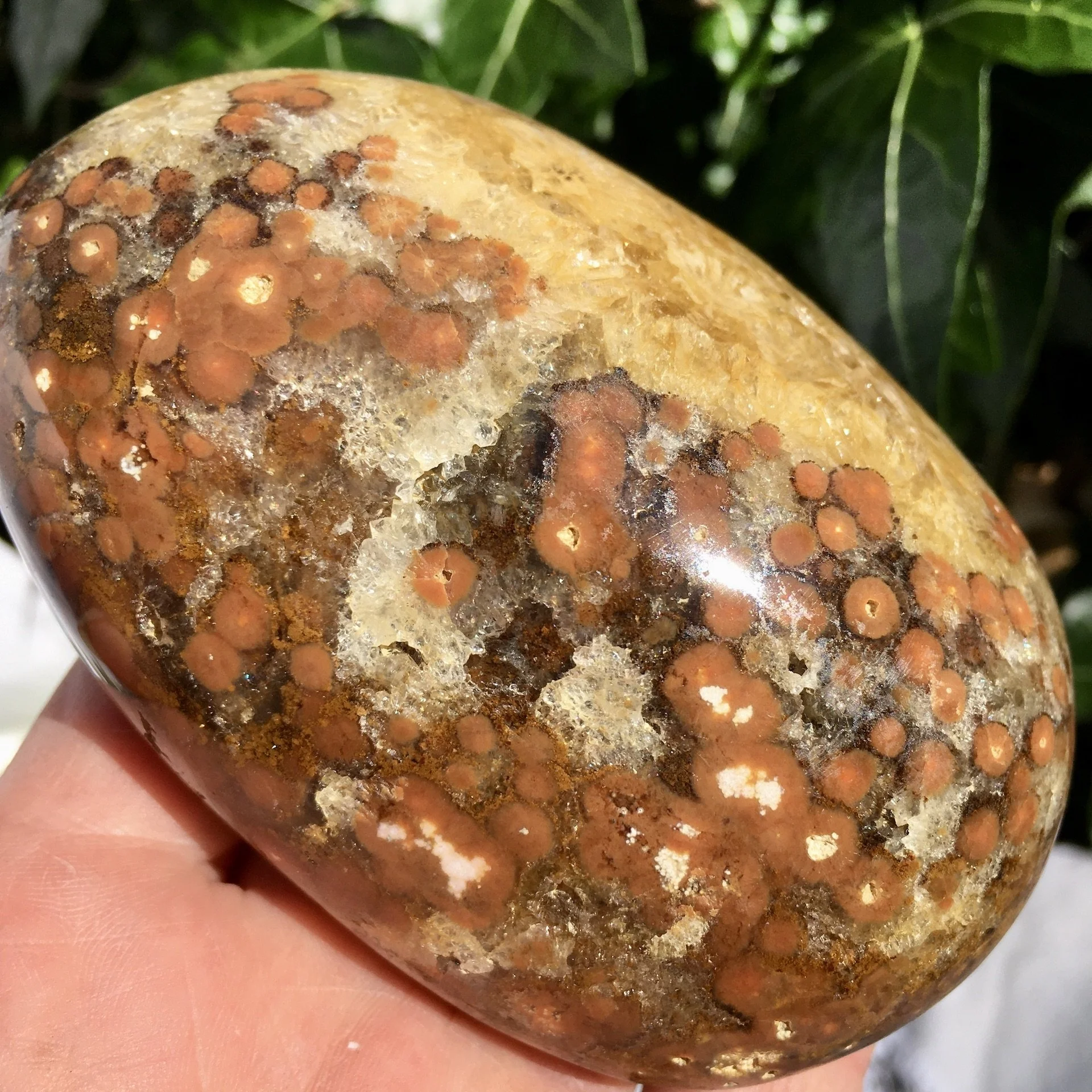 Orbicular Jasper Pebble 8g.jpeg