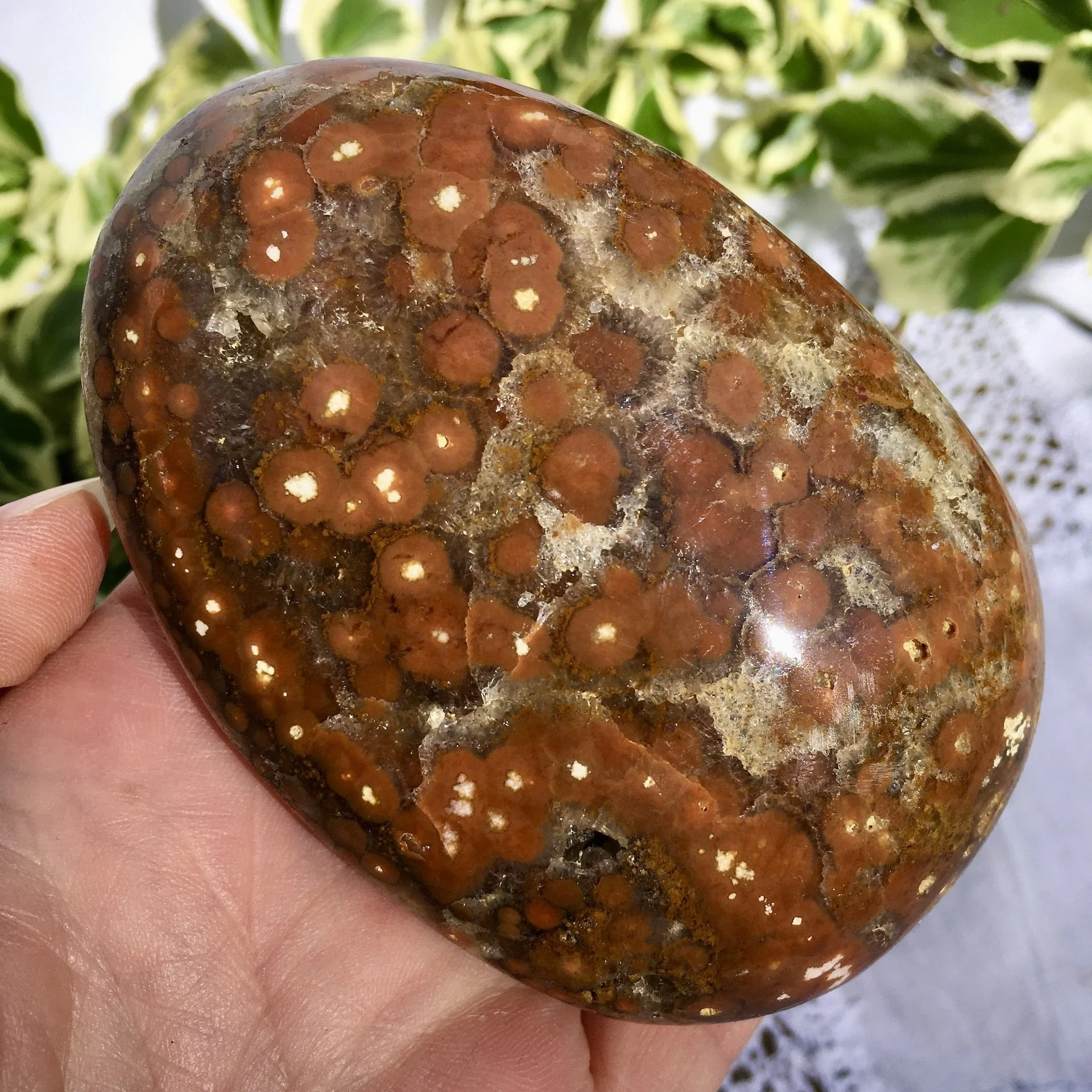 Orbicular Jasper Pebble 8d.jpeg