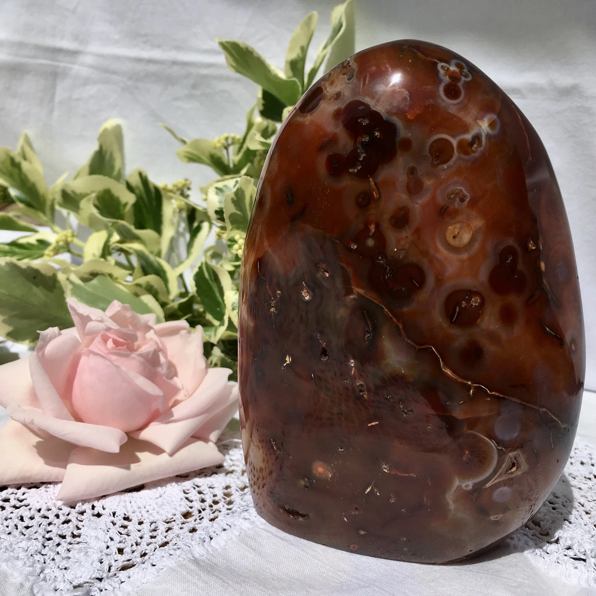 Carnlian freeform 2a.jpeg