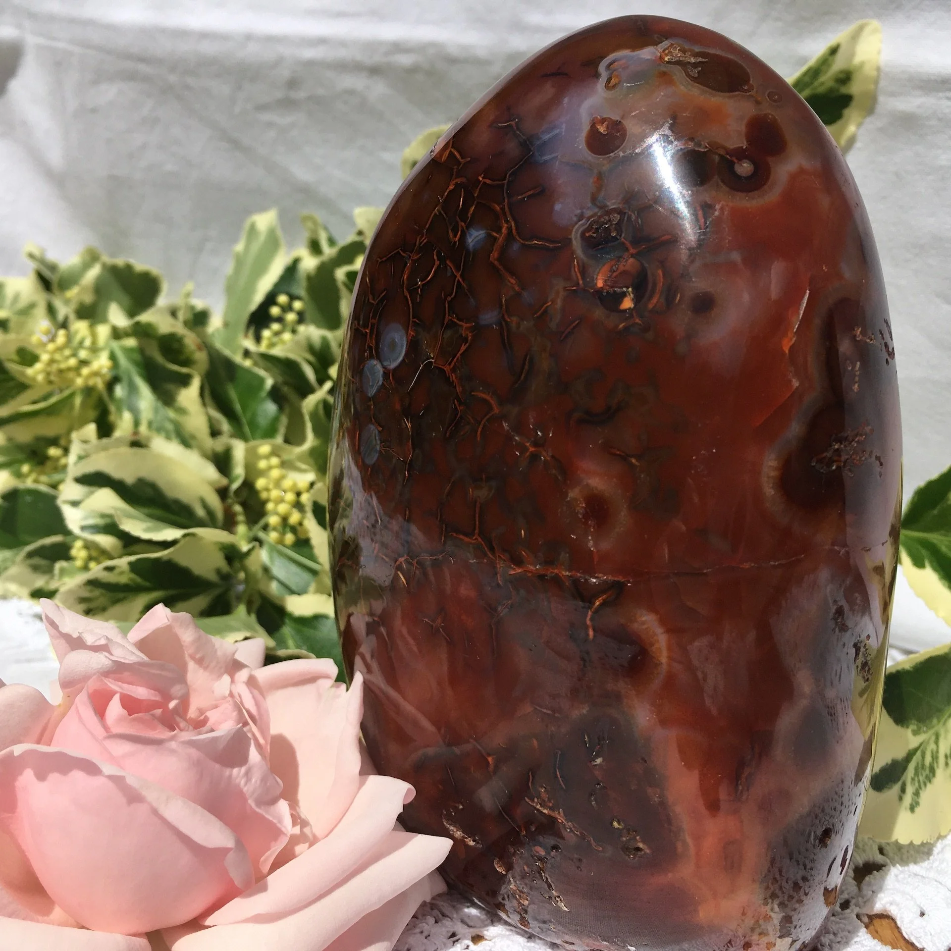 Carnlian freeform 2f.jpeg