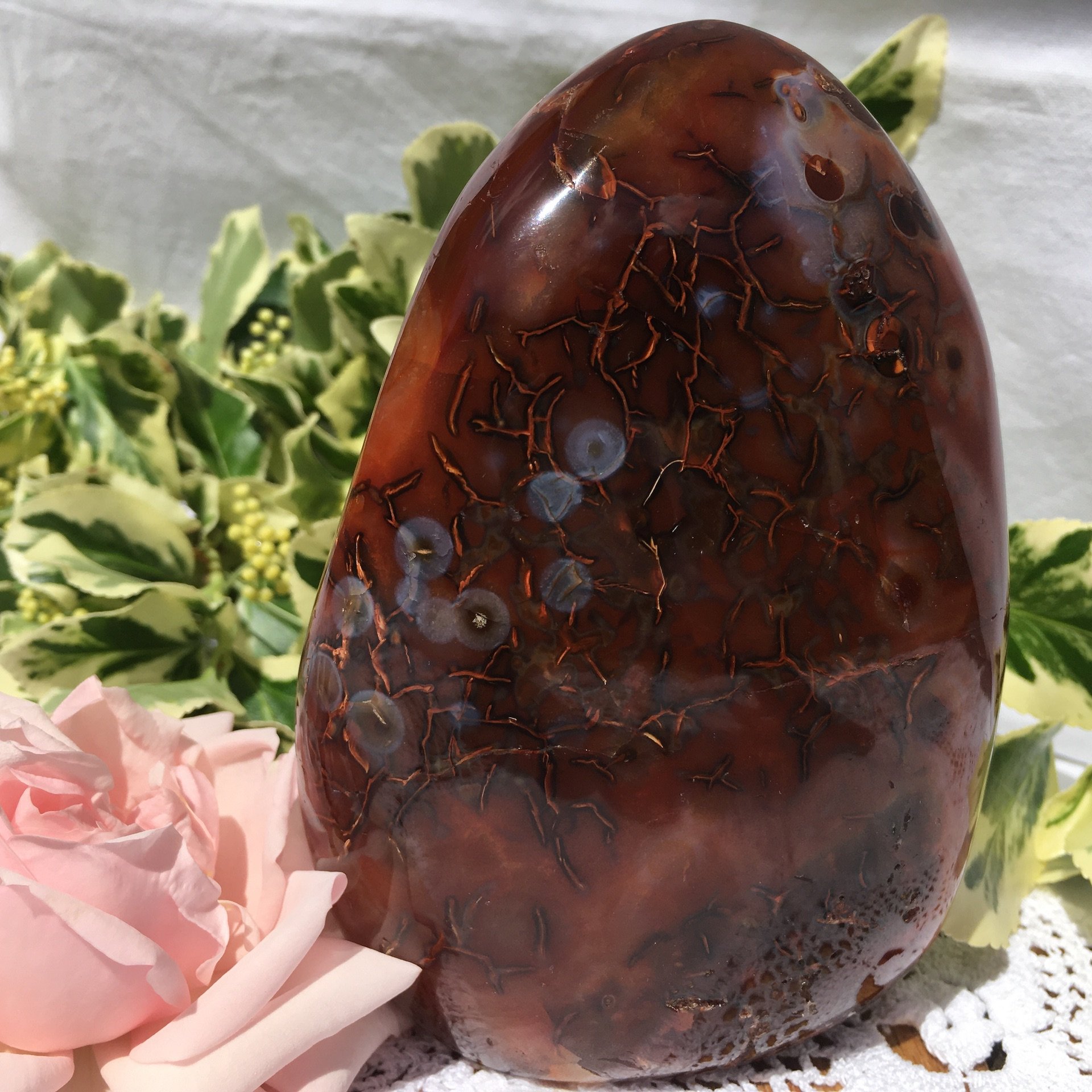 Carnlian freeform 2g.jpeg