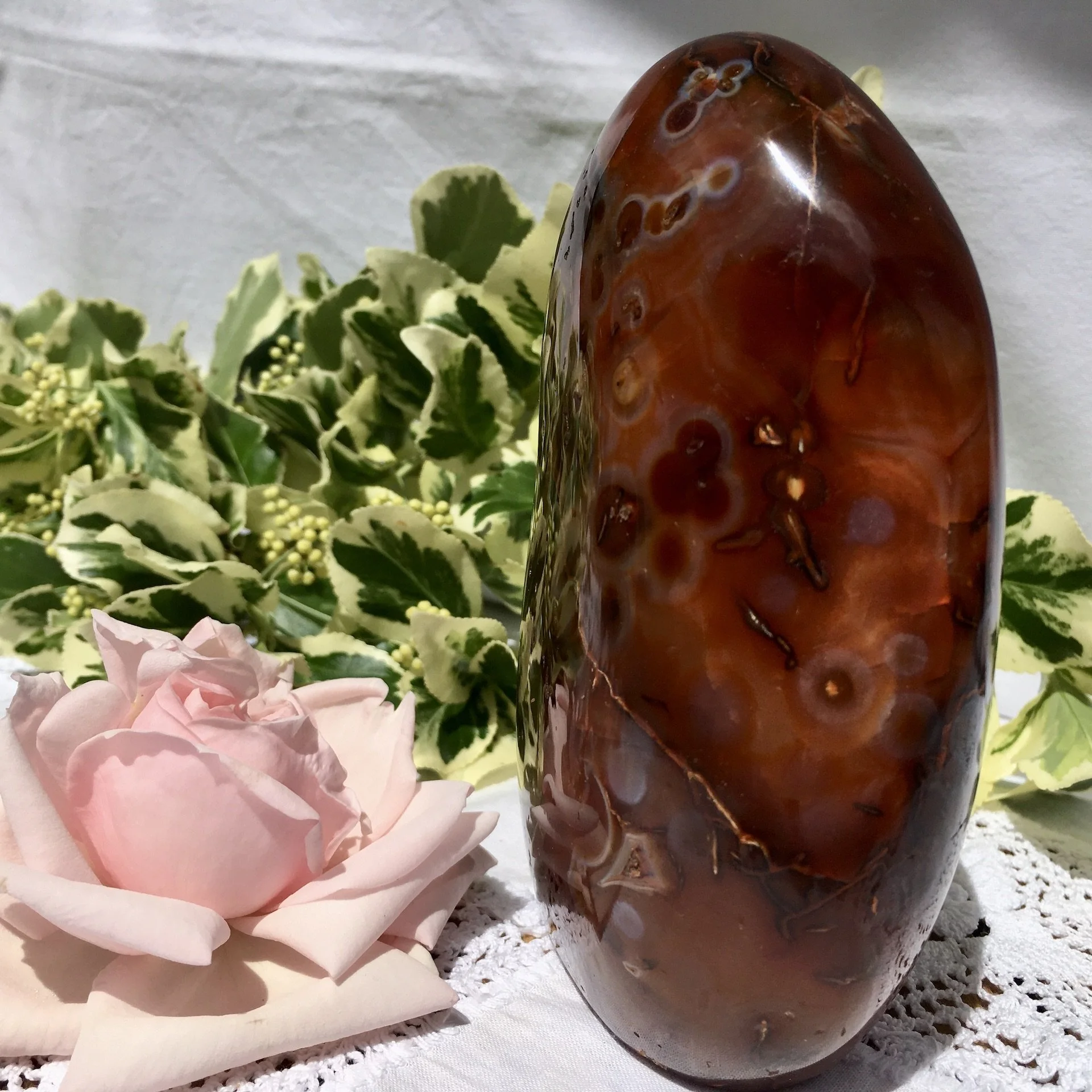 Carnlian freeform 2c.jpeg