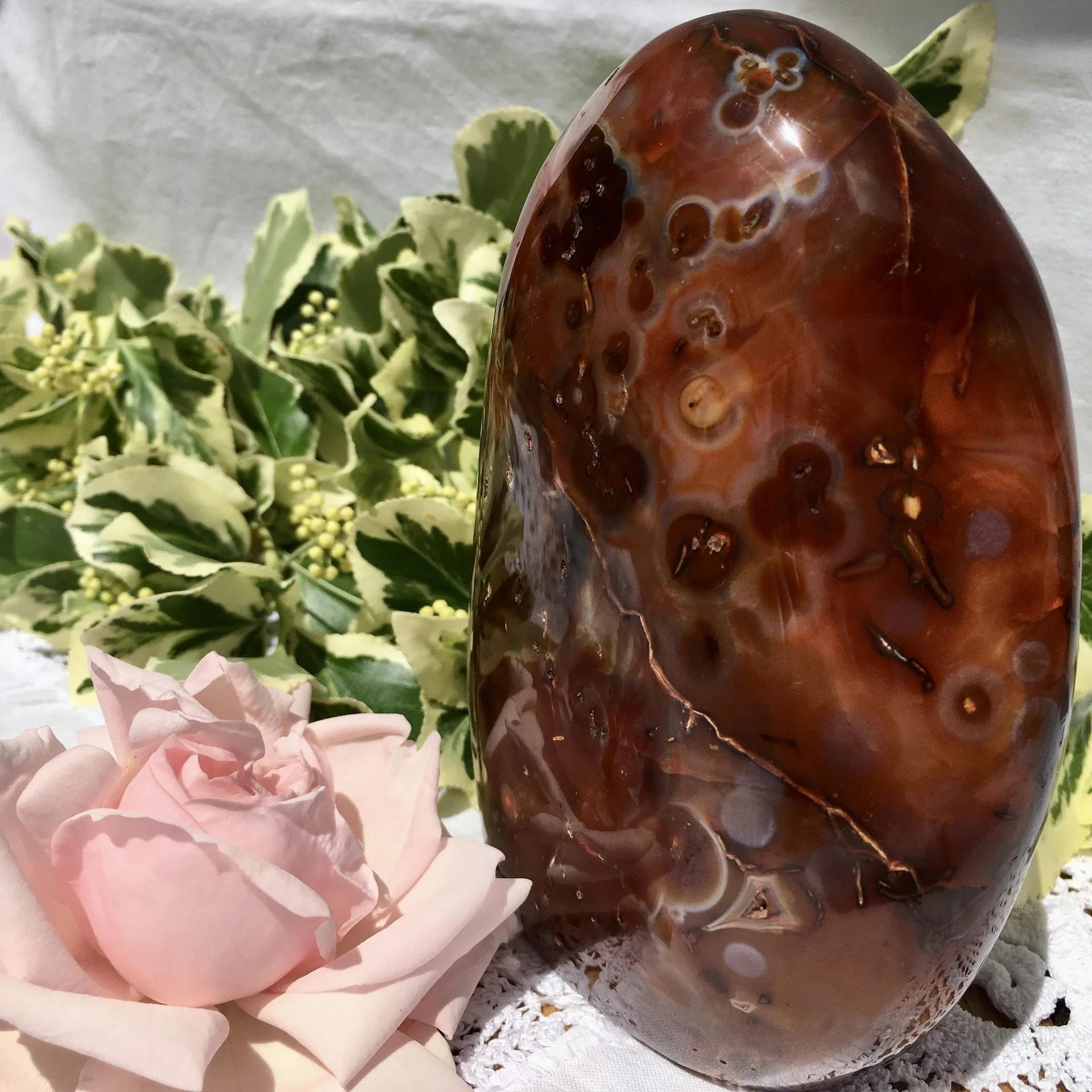 Carnlian freeform 2d.jpeg