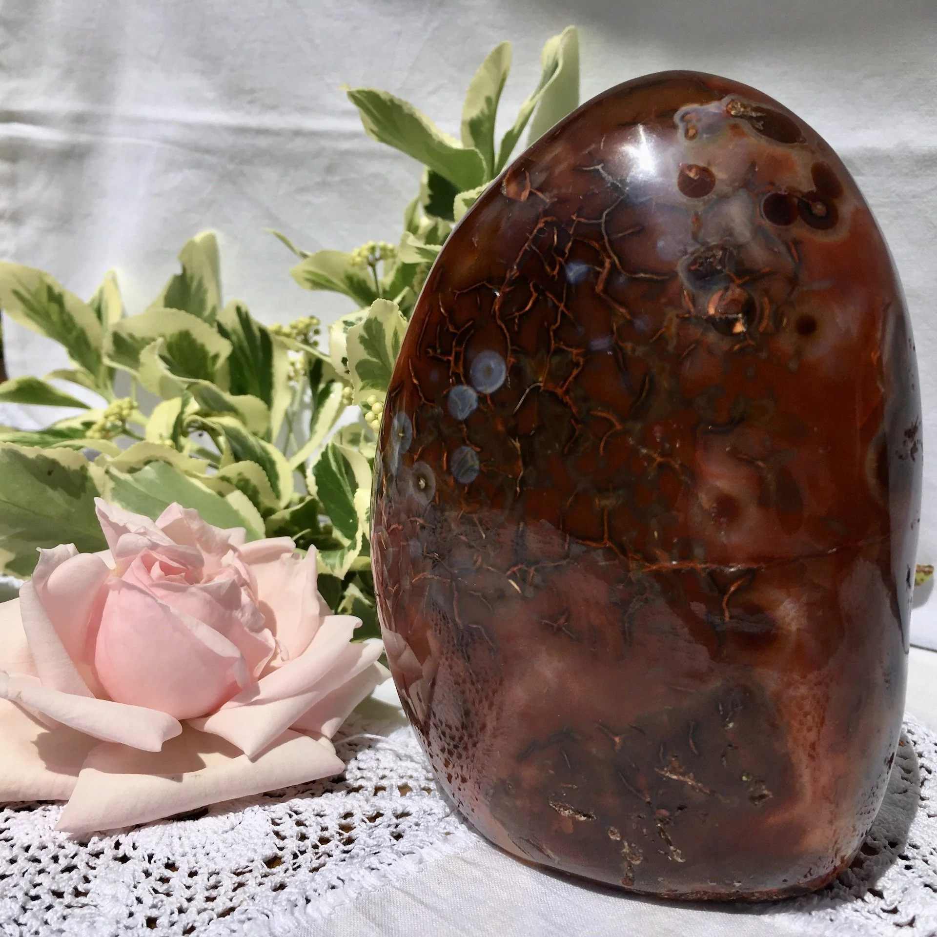 Carnlian freeform 2b.jpeg