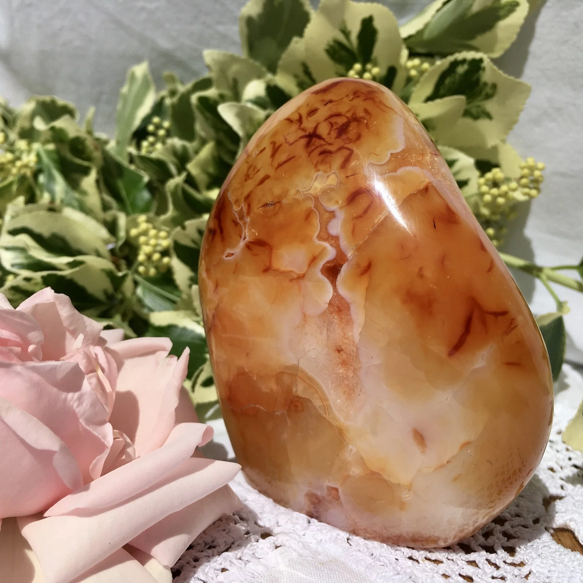 Carnlian freeform 3b.jpeg