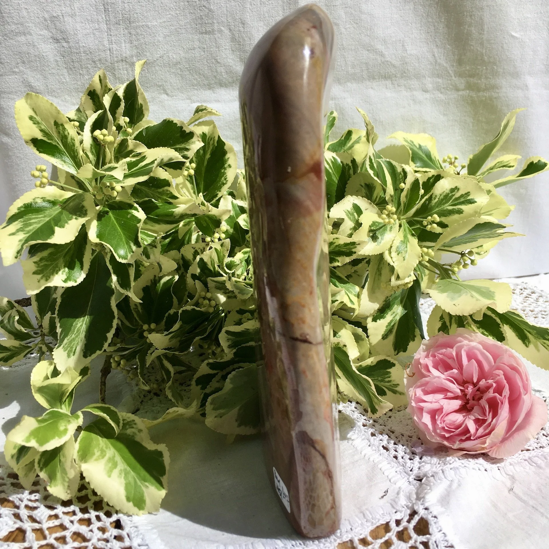 Polychrome freeform 3d.jpeg