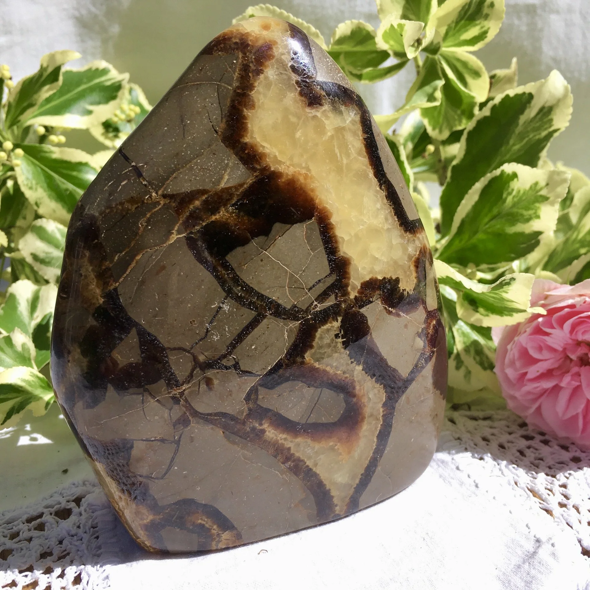 Septarian freeform 1a.jpeg