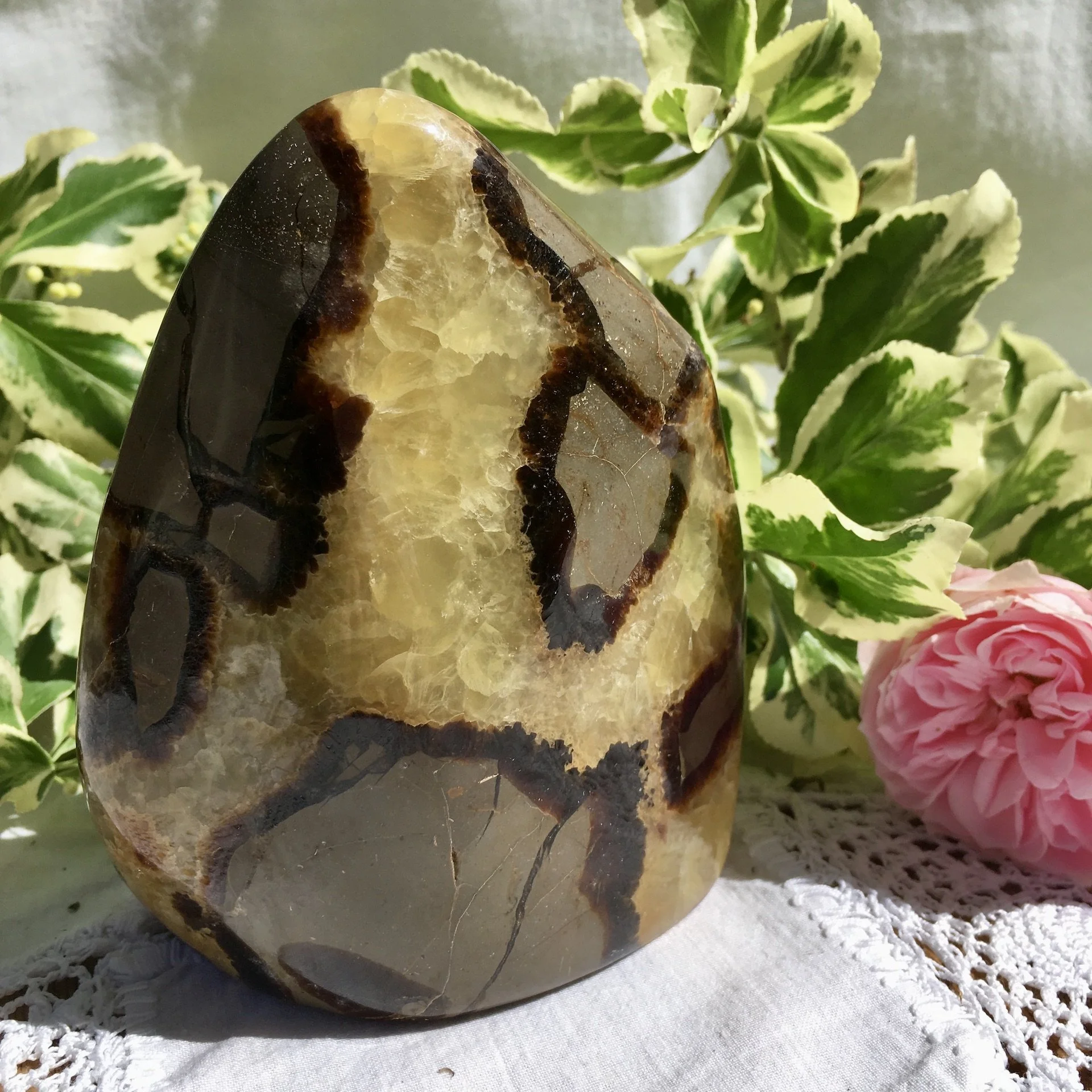 Septarian freeform 1b.jpeg