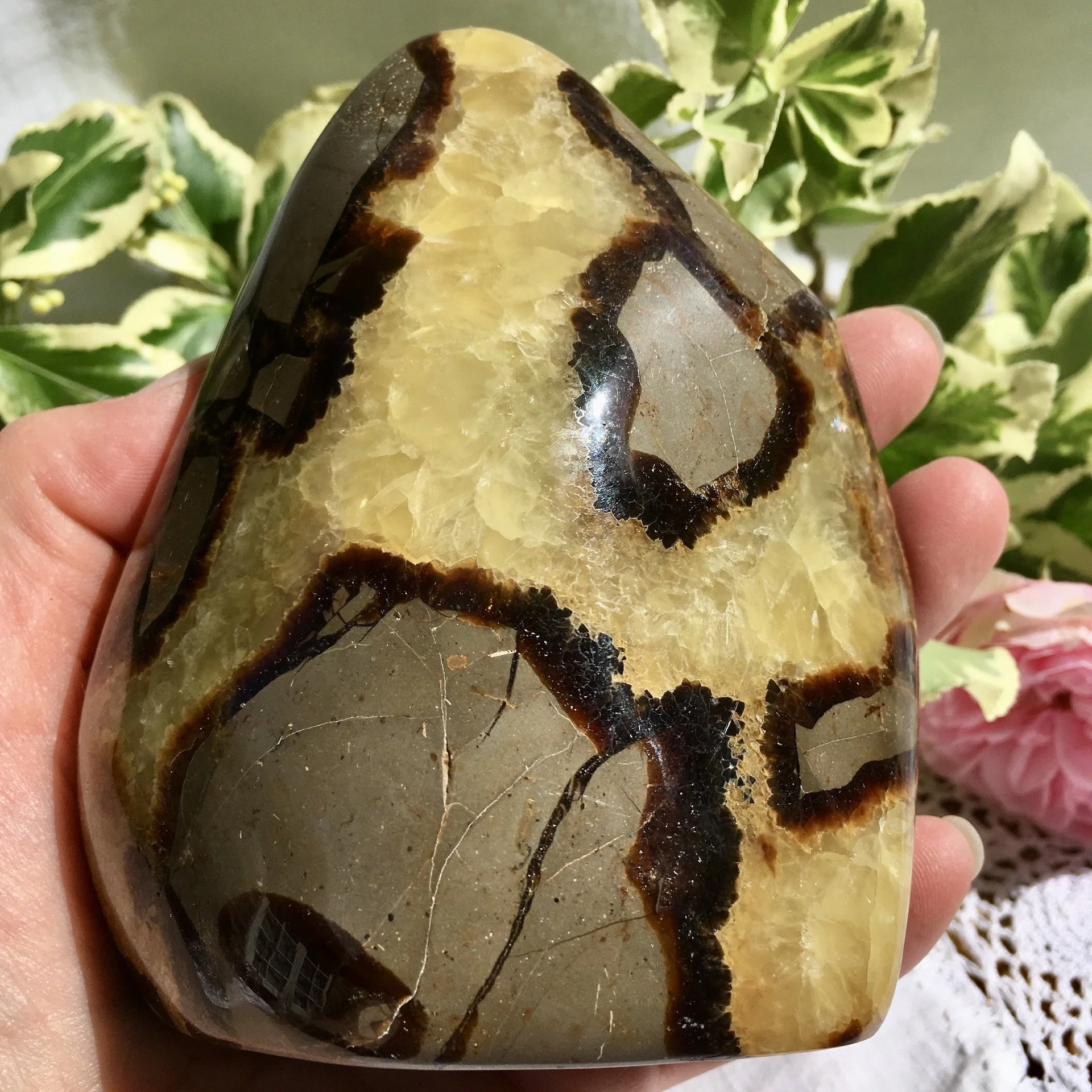 Septarian freeform 1f.jpeg