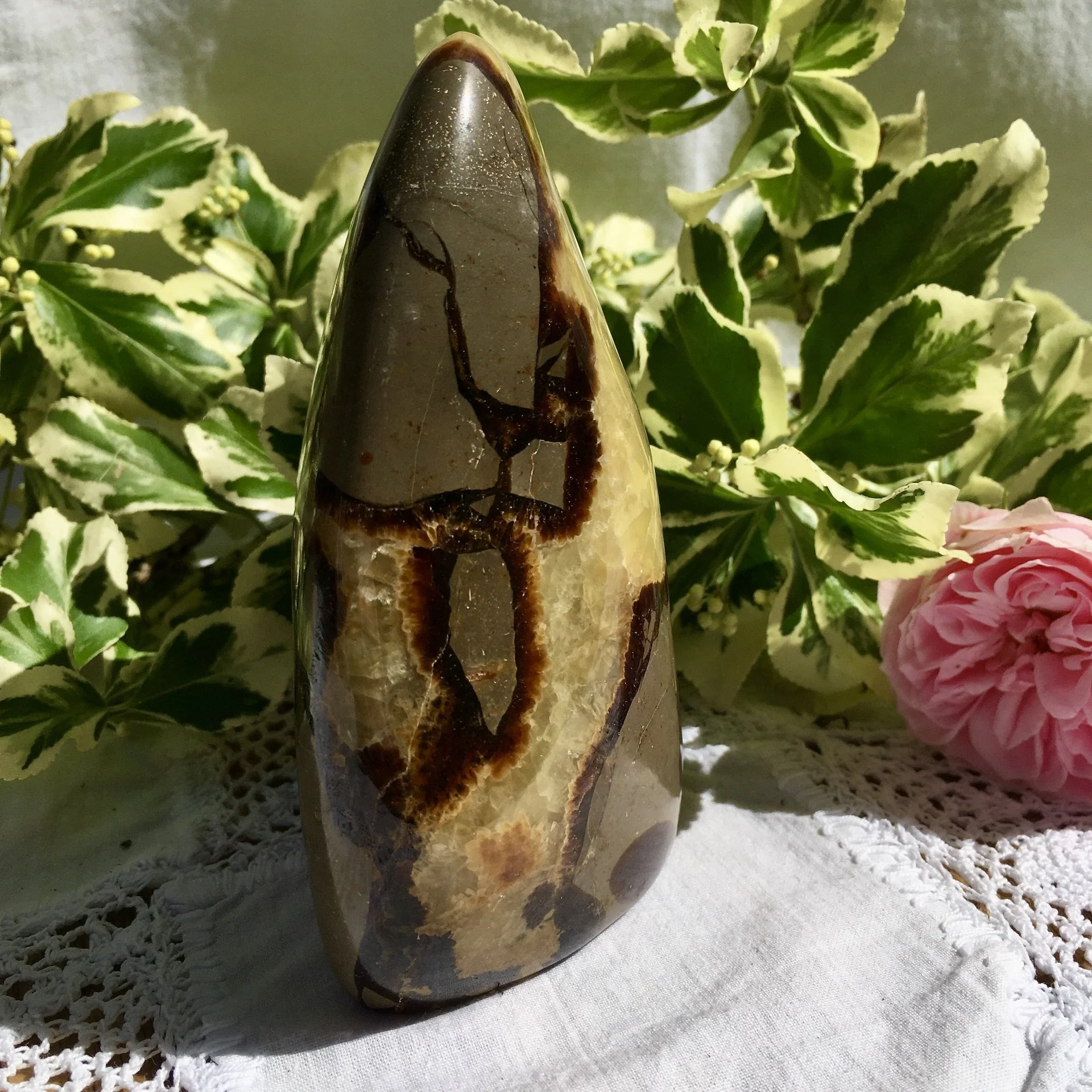 Septarian freeform 1c.jpeg