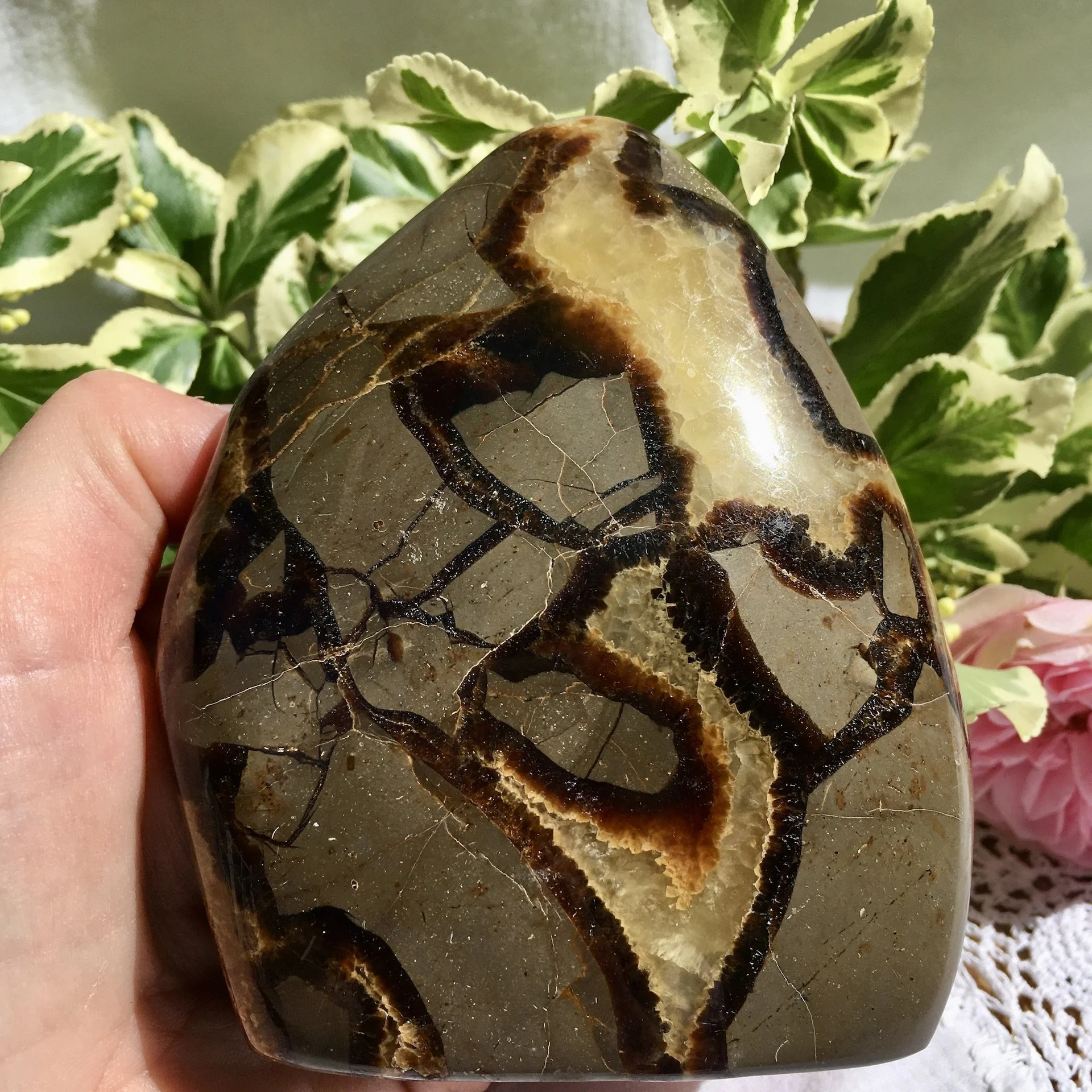Septarian freeform 1e.jpeg