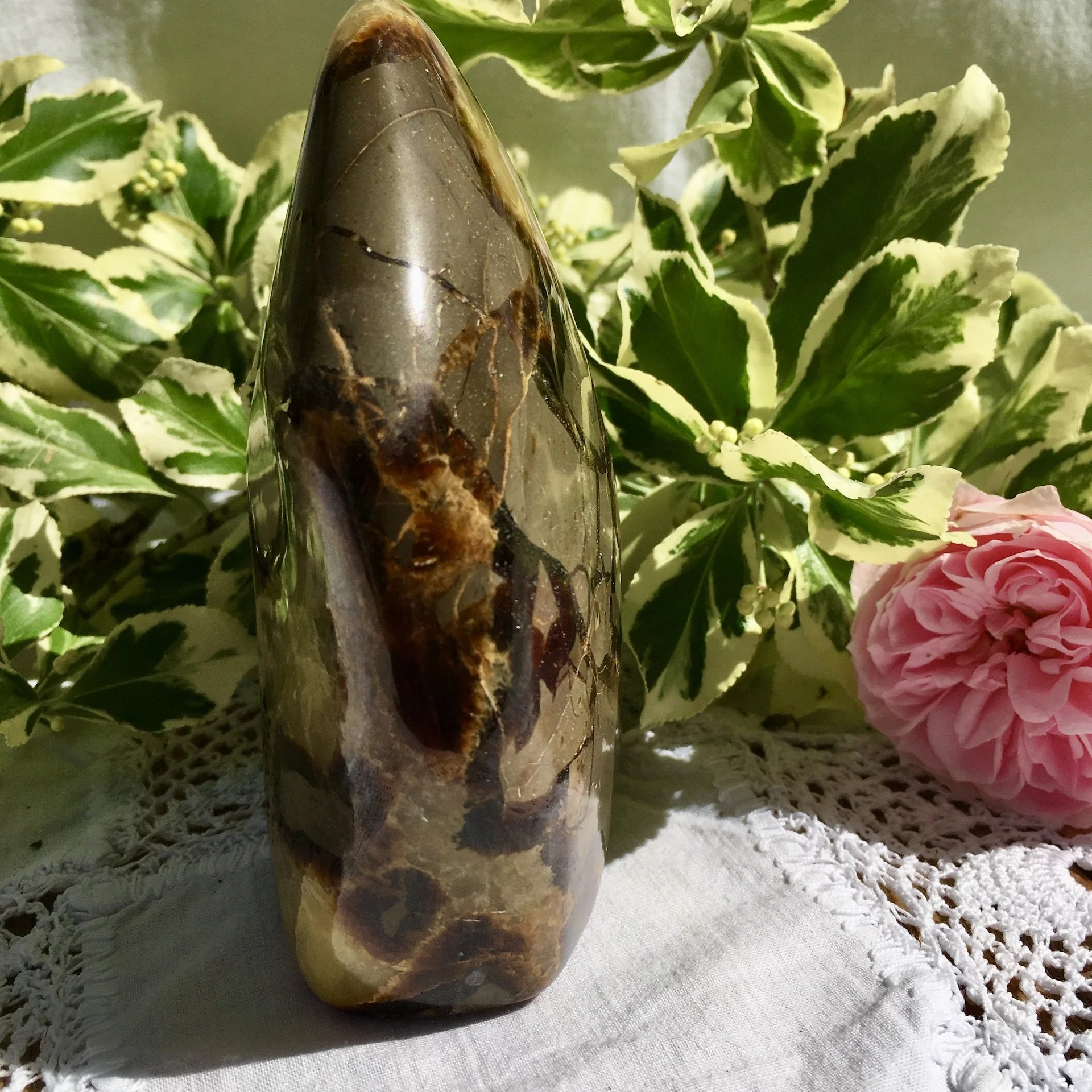 Septarian freeform 1d.jpeg