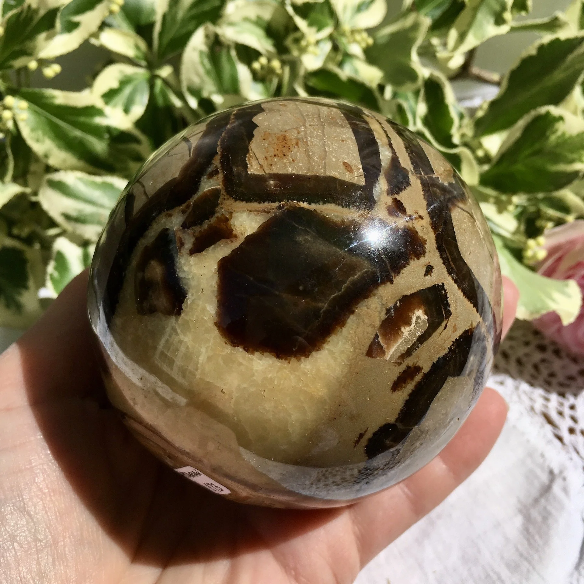 Septarian sphere 1f.jpeg
