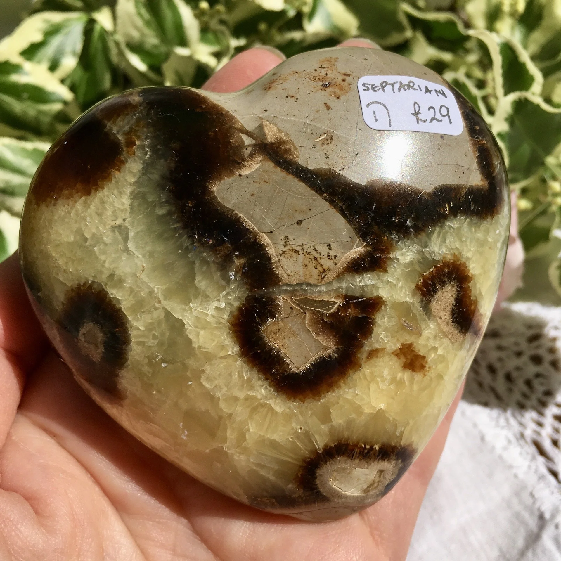 Septarian heart 1d.jpeg