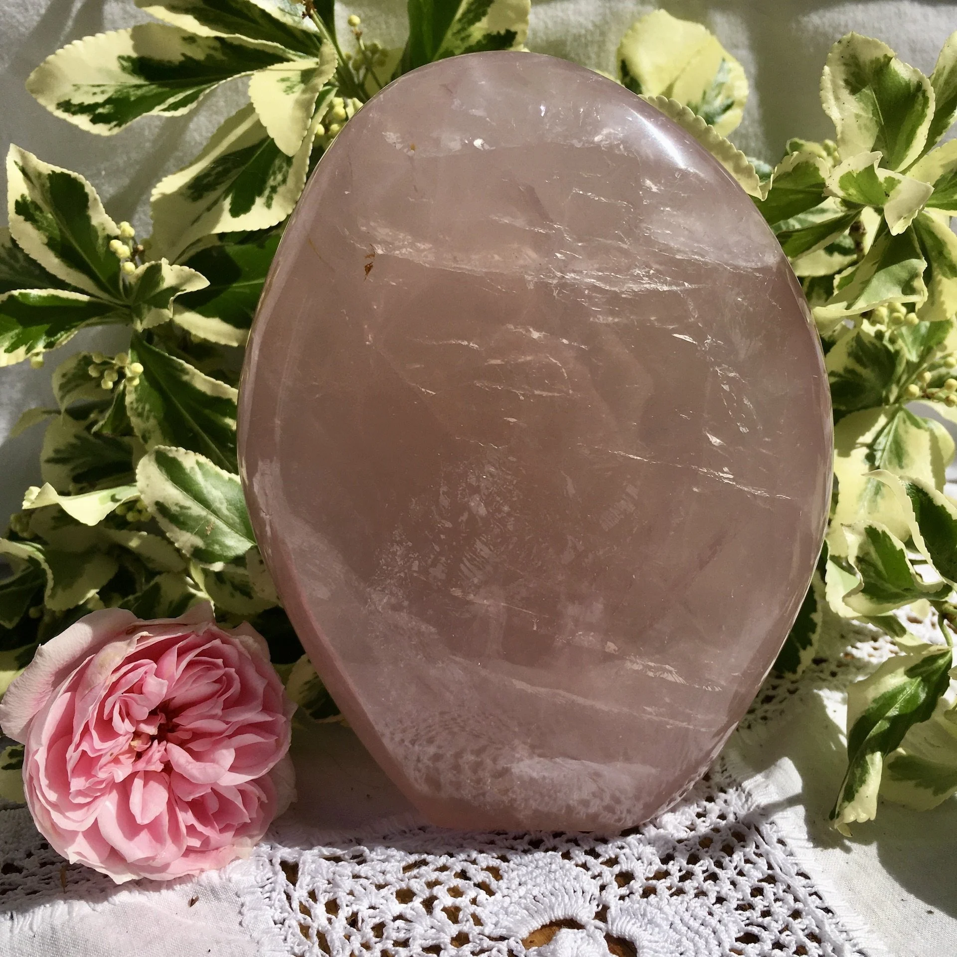 RQ Freeform 2 a.jpeg