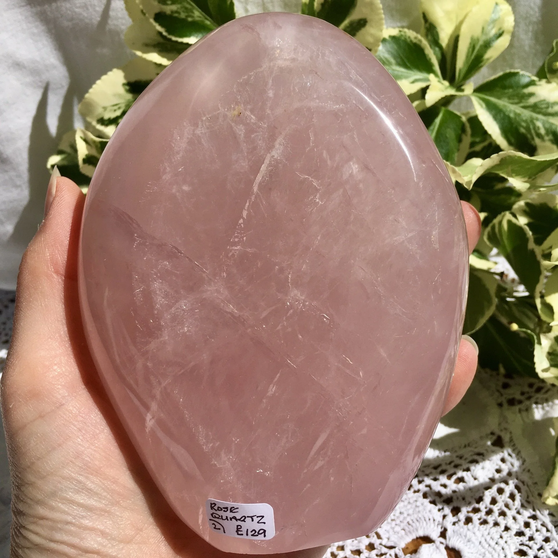 RQ Freeform 2 f.jpeg