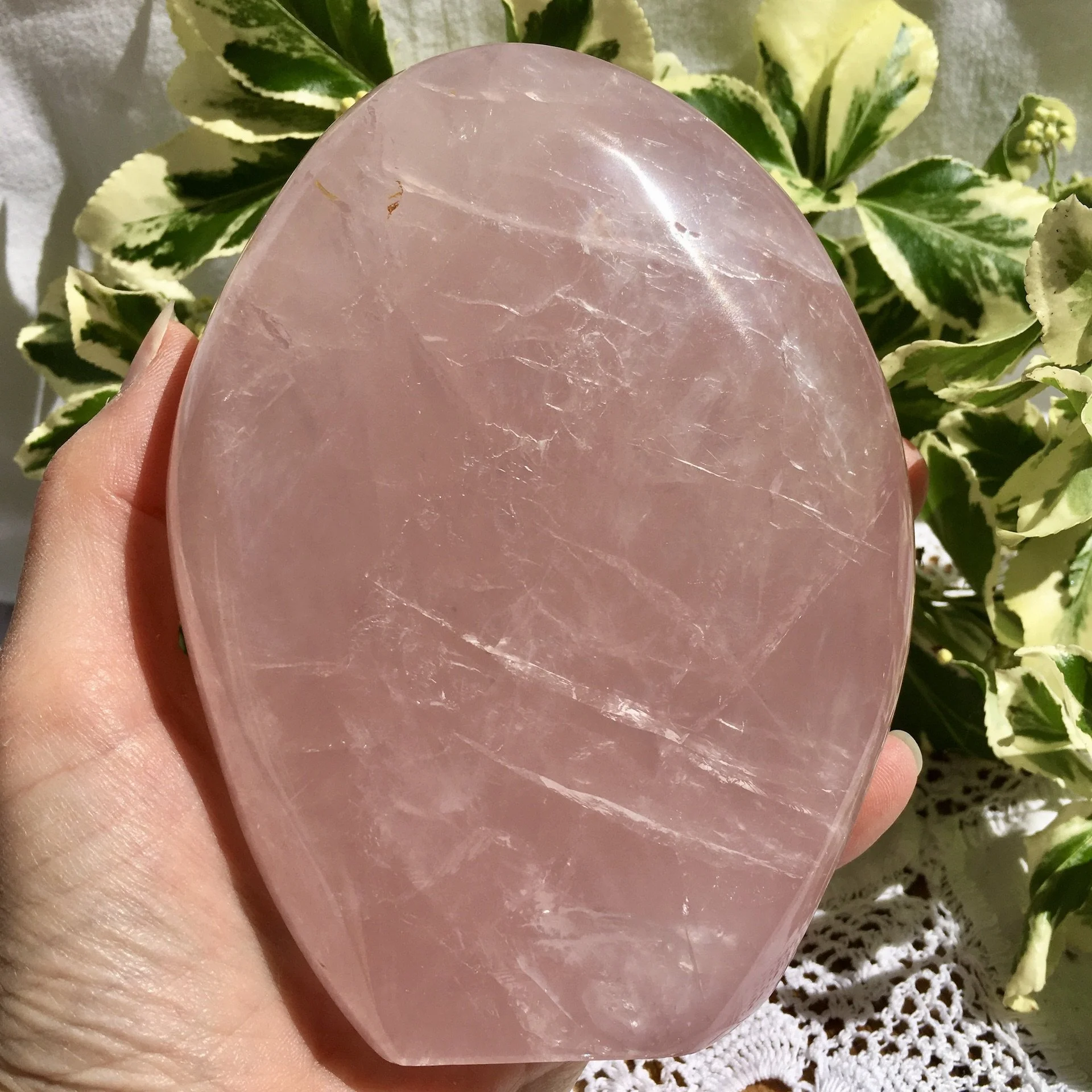 RQ Freeform 2 e.jpeg