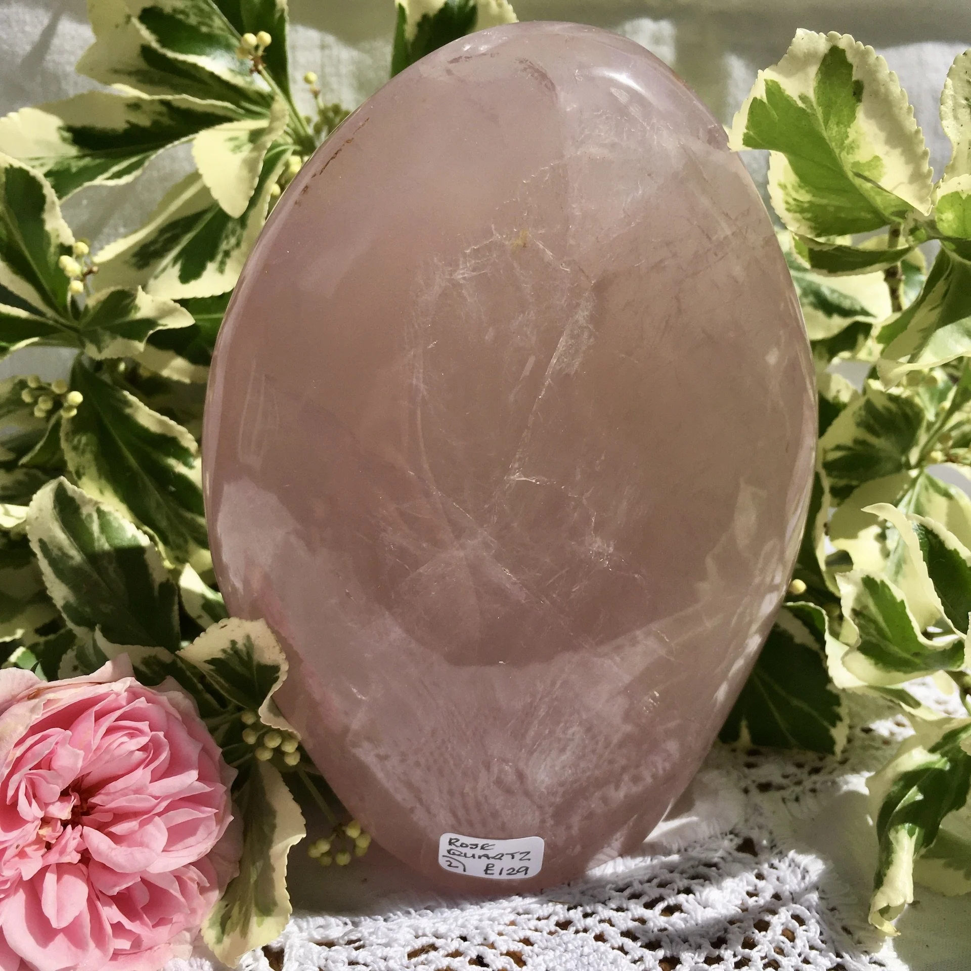 RQ Freeform 2 c.jpeg