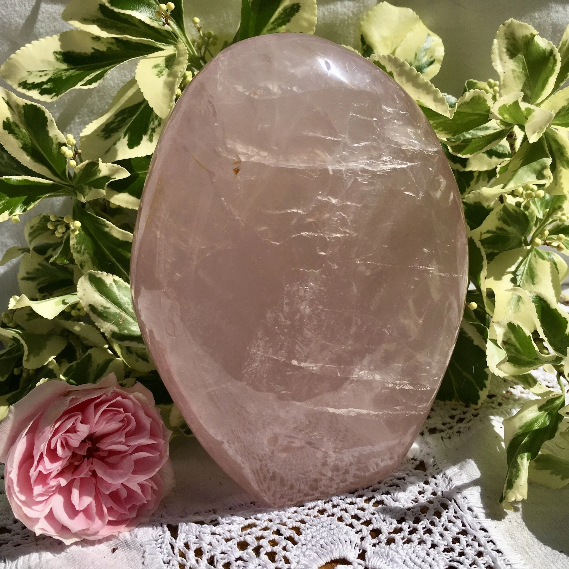 RQ Freeform 2 b.jpeg