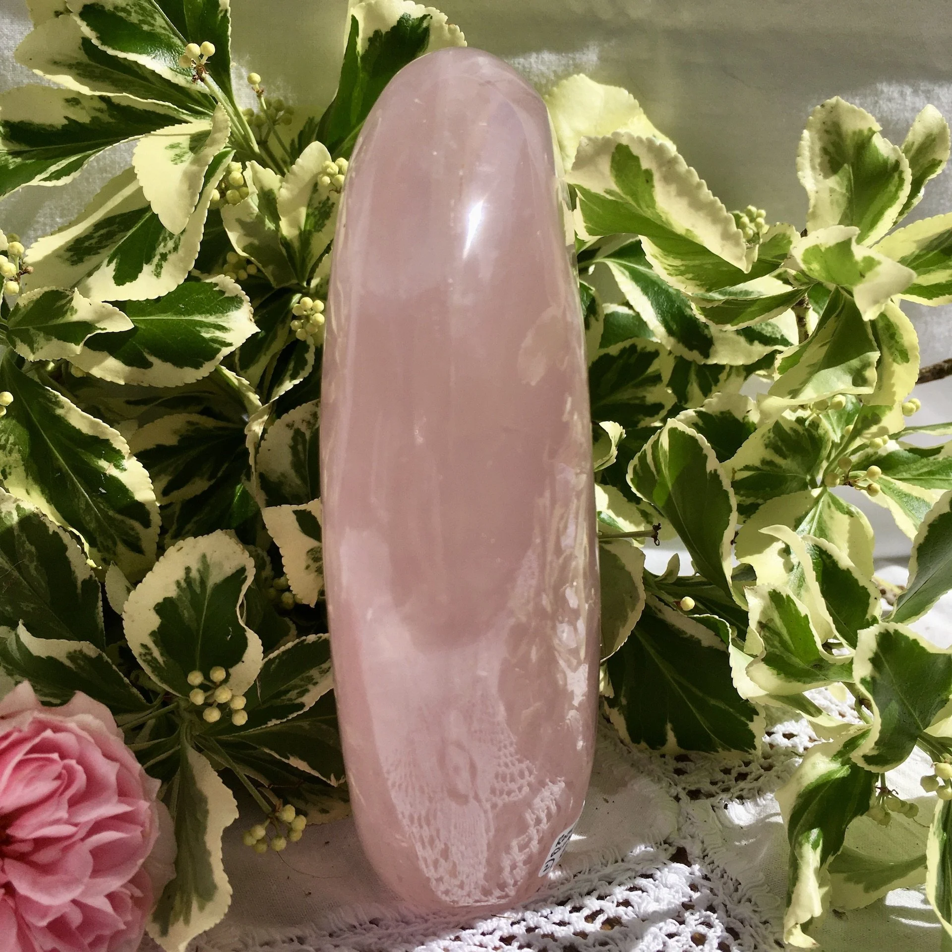 RQ Freeform 2 d.jpeg