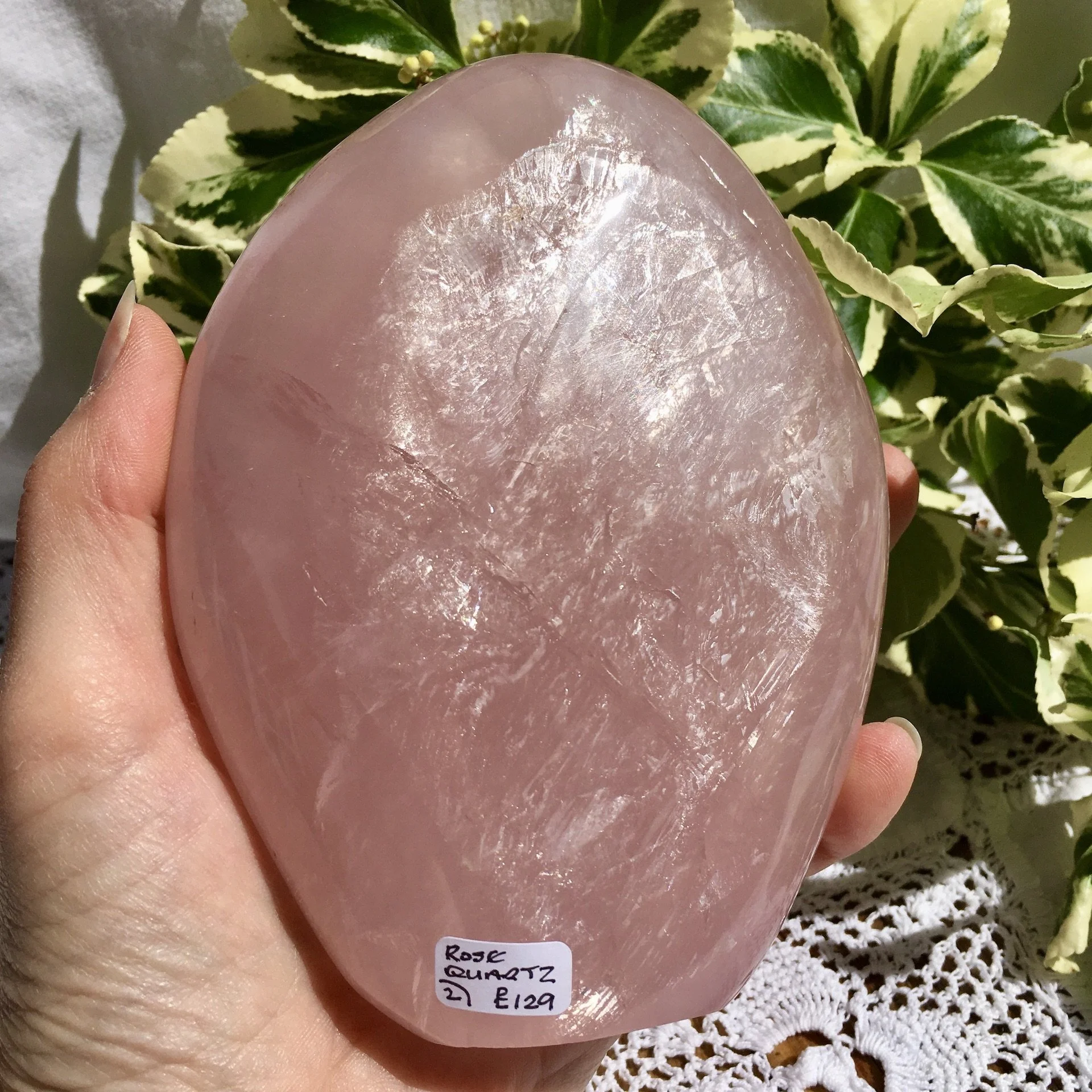 RQ Freeform 2 g.jpeg