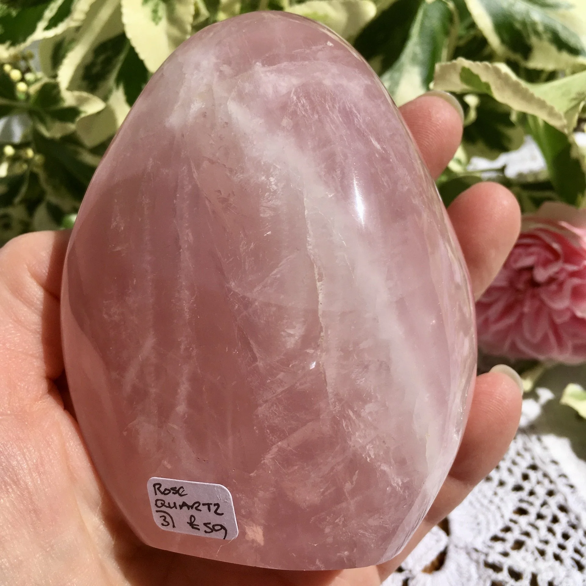 RQ Freeform 3 f.jpeg