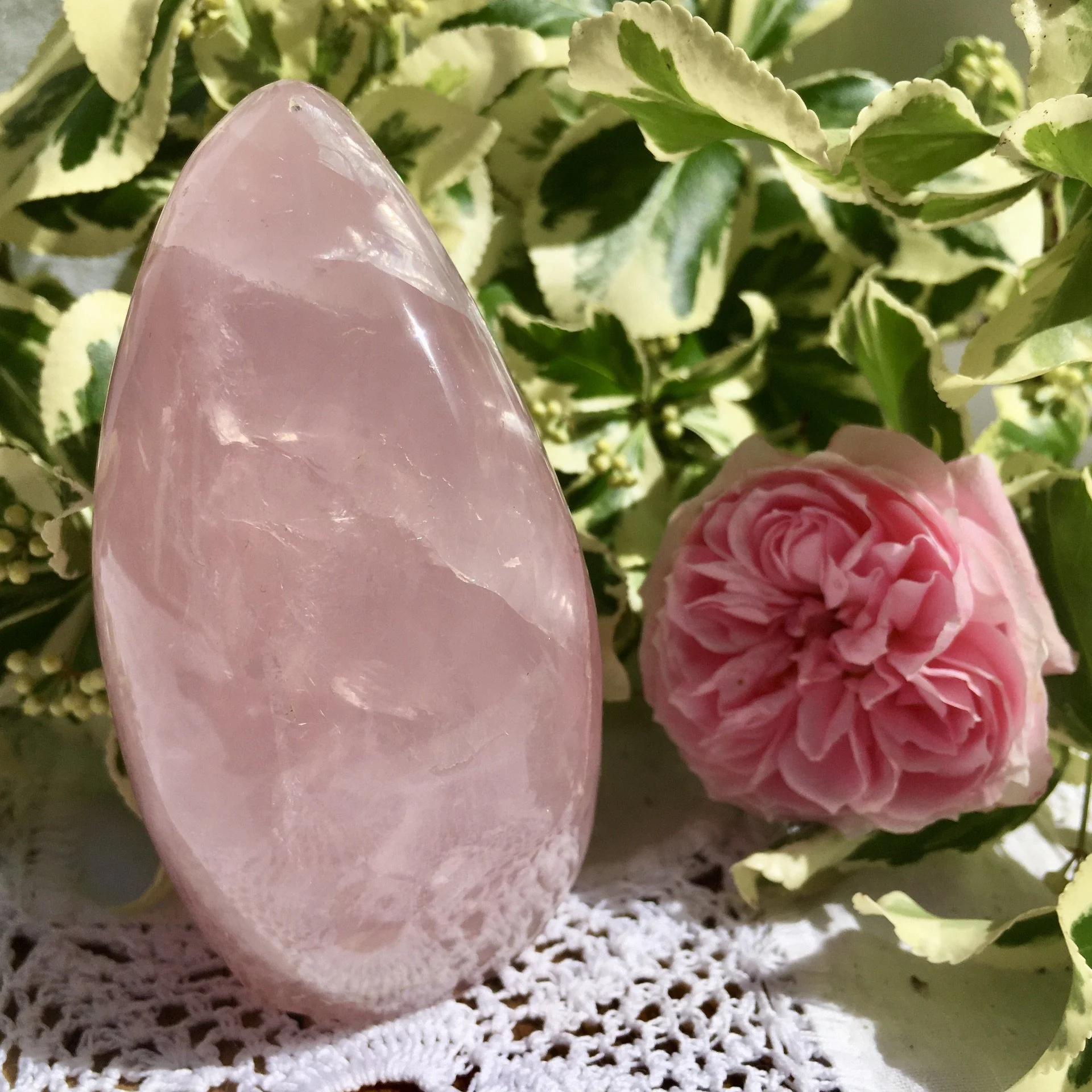 RQ Freeform 3 d.jpeg