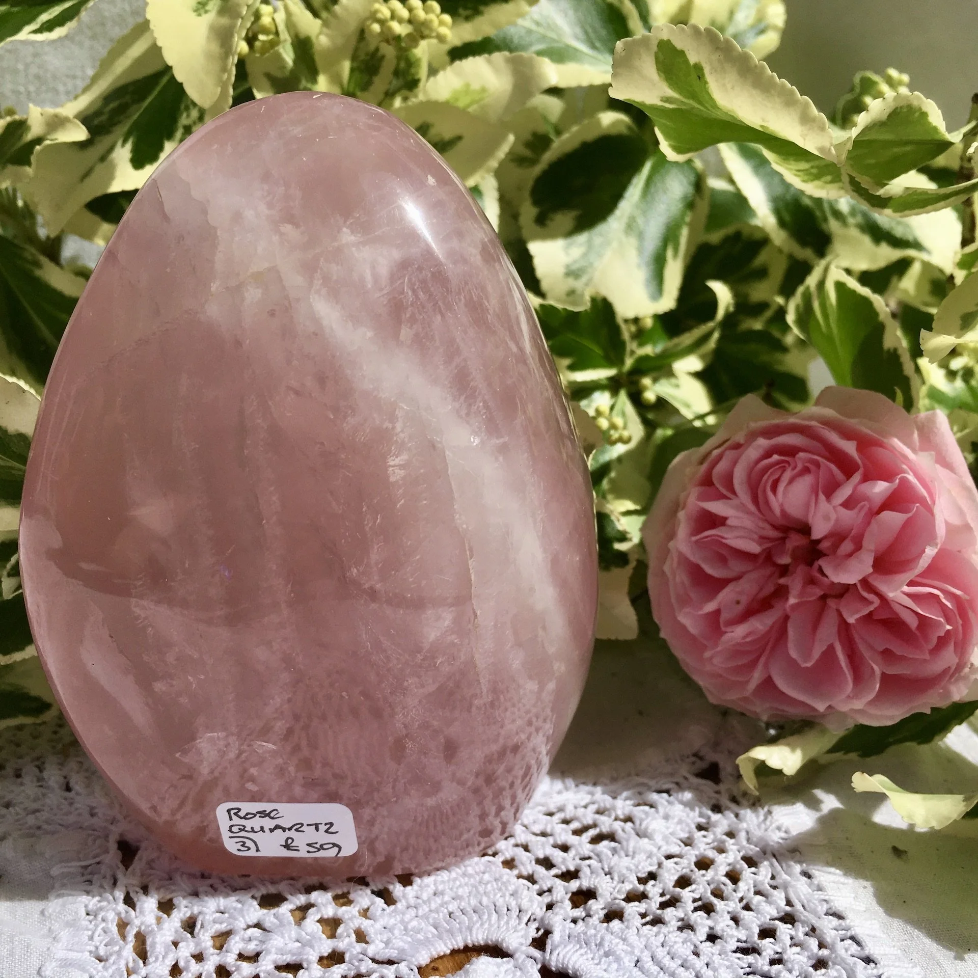 RQ Freeform 3 b.jpeg