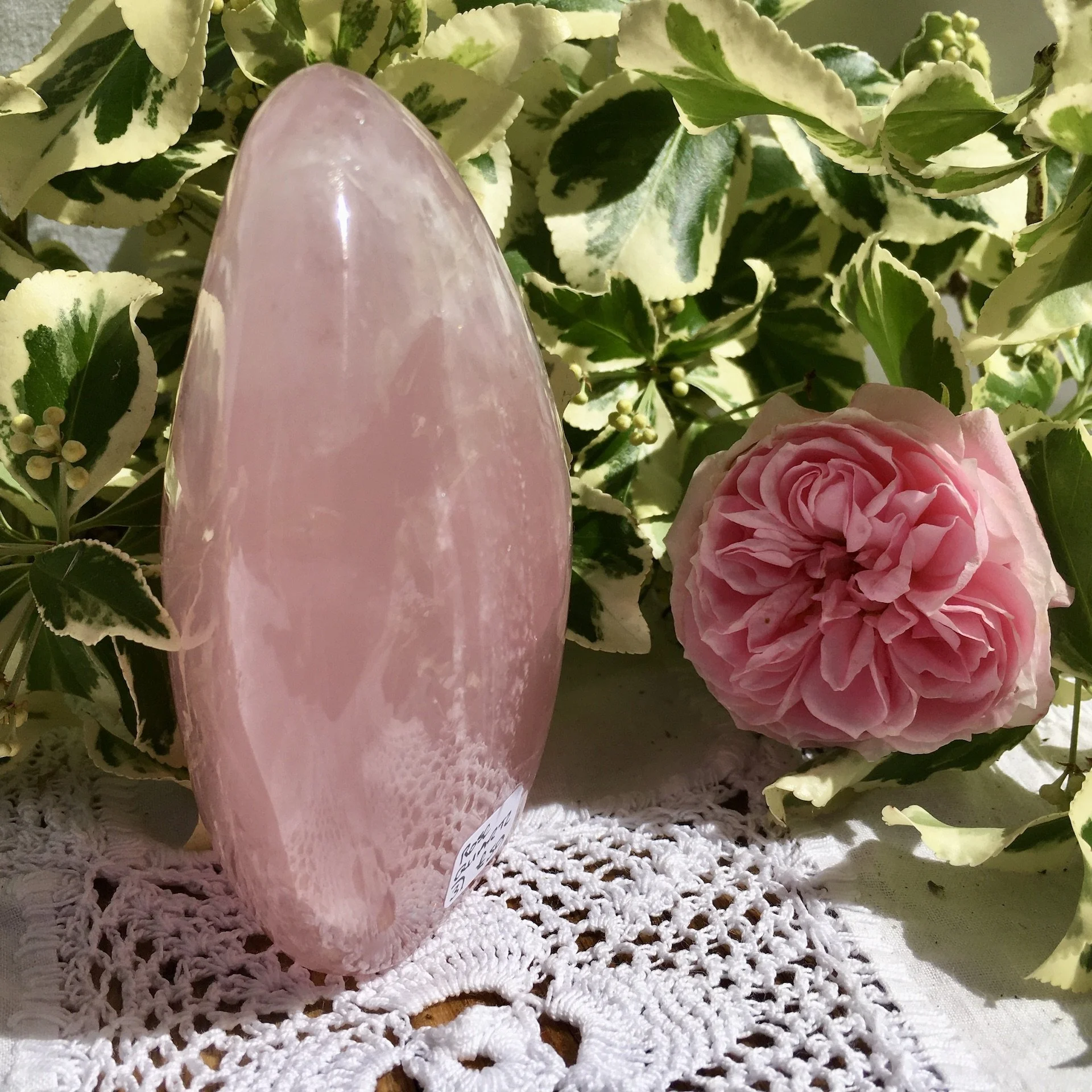 RQ Freeform 3 c.jpeg