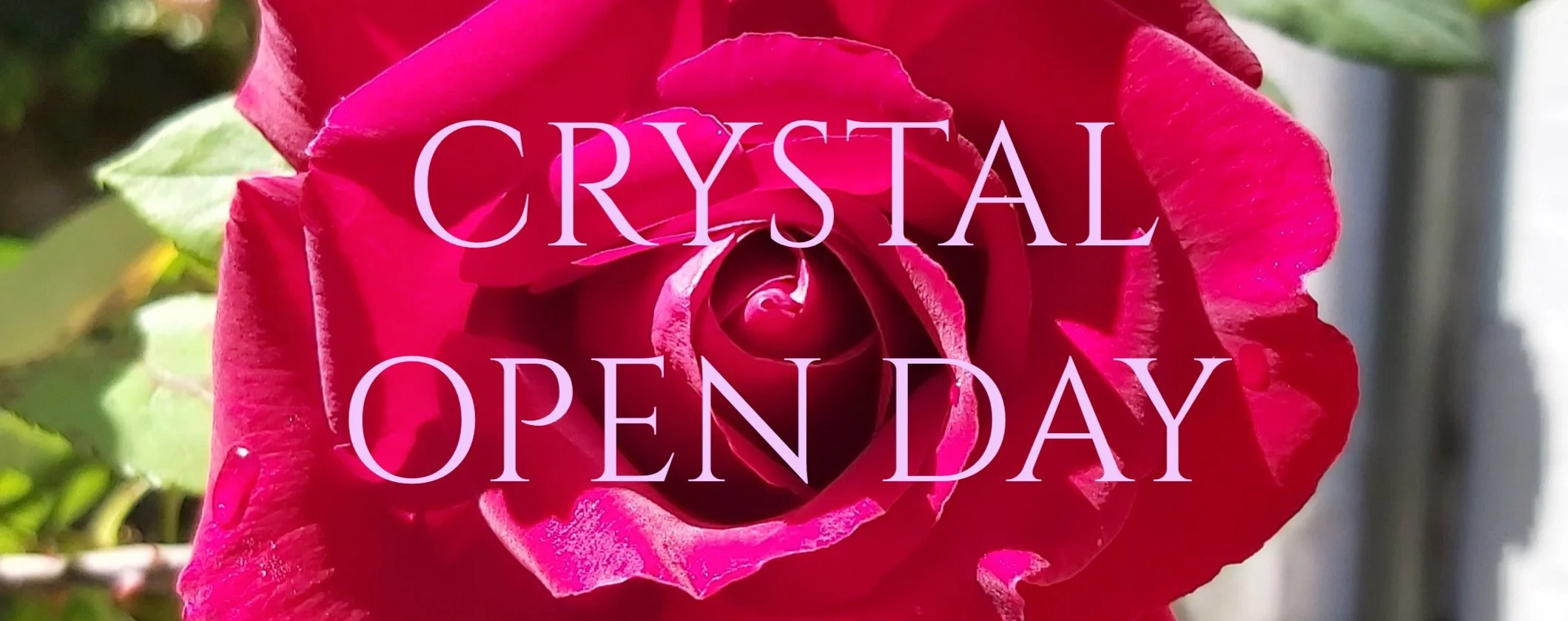 Crystal Barn Open Day