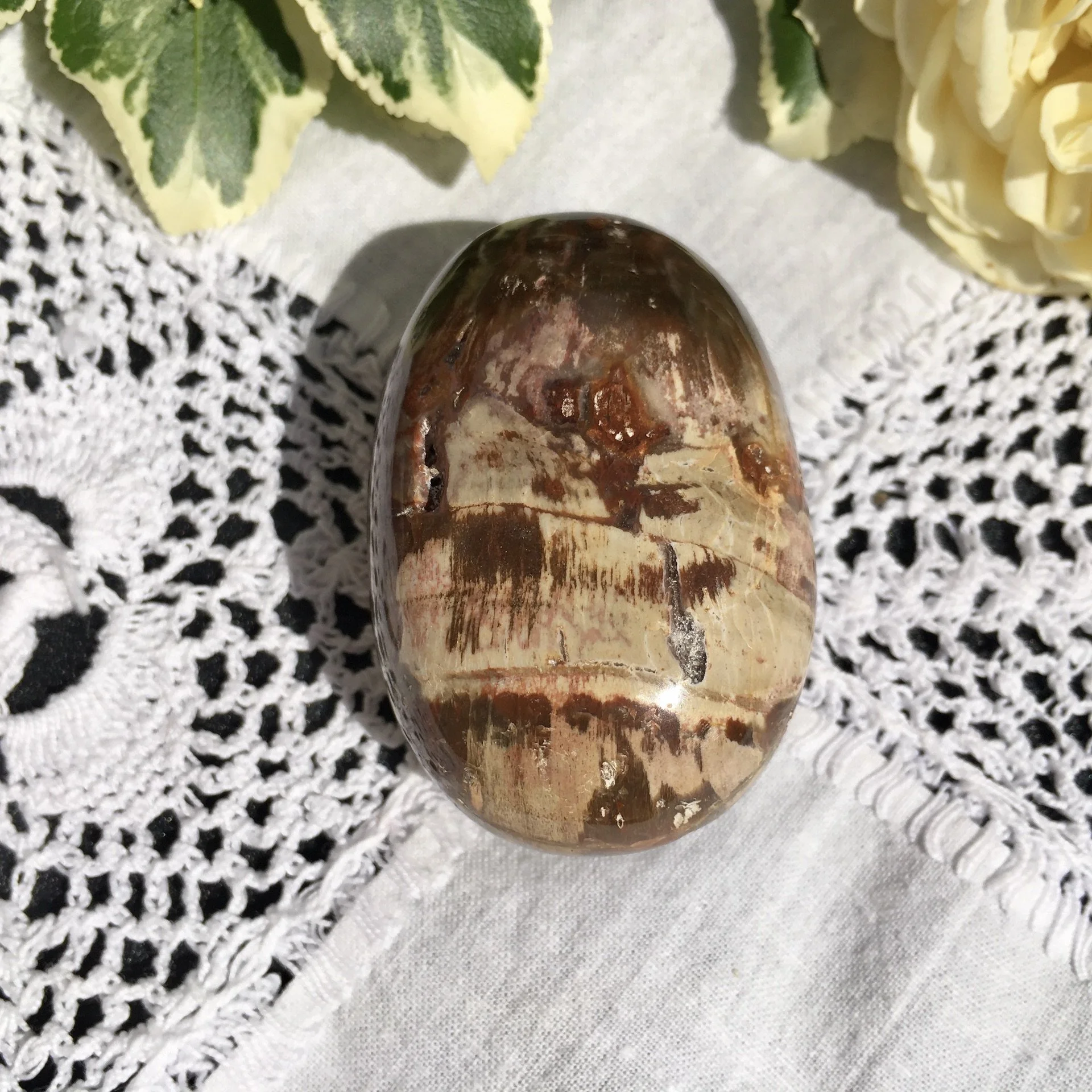 Pet wood pebble 6a.jpeg