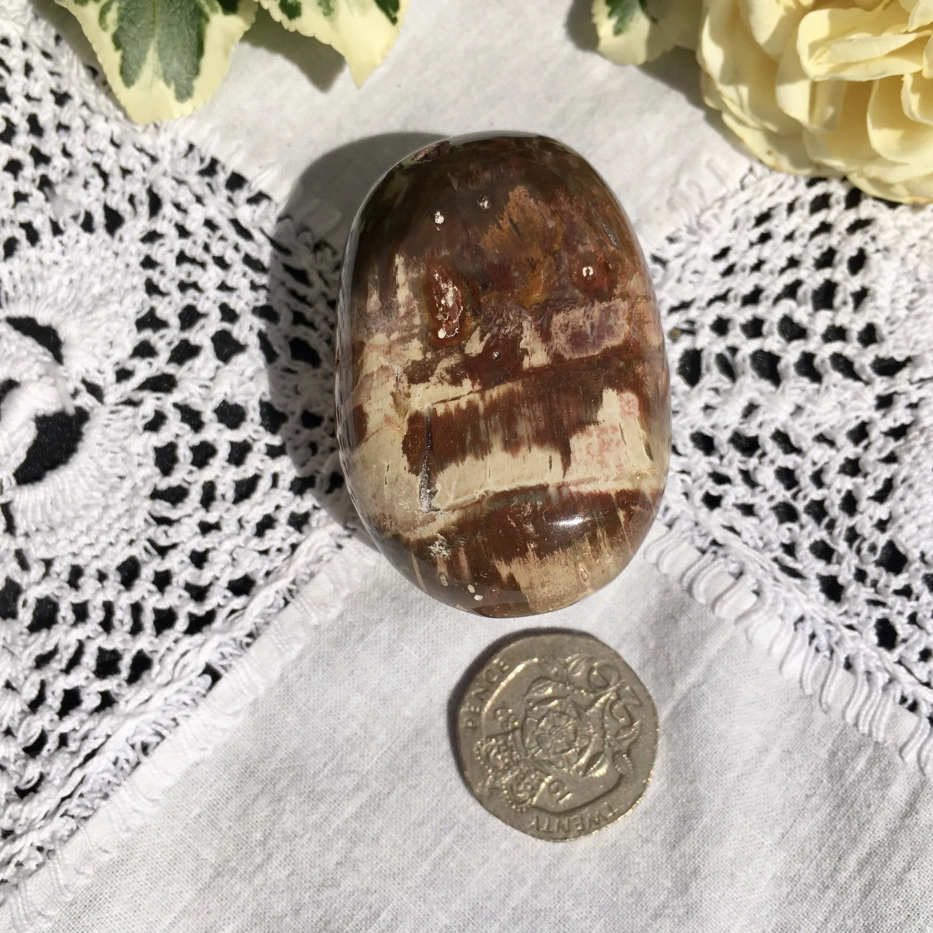 Pet wood pebble 6b.jpeg