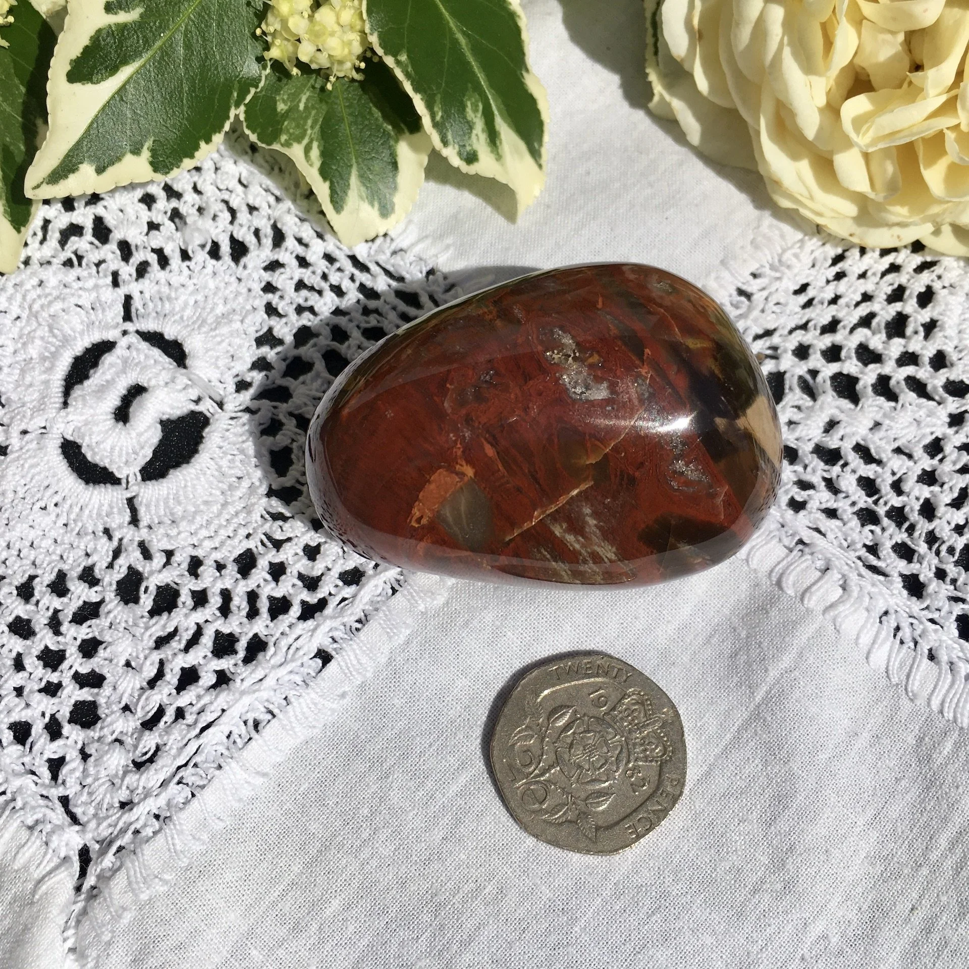 Pet wood pebble 7b.jpeg