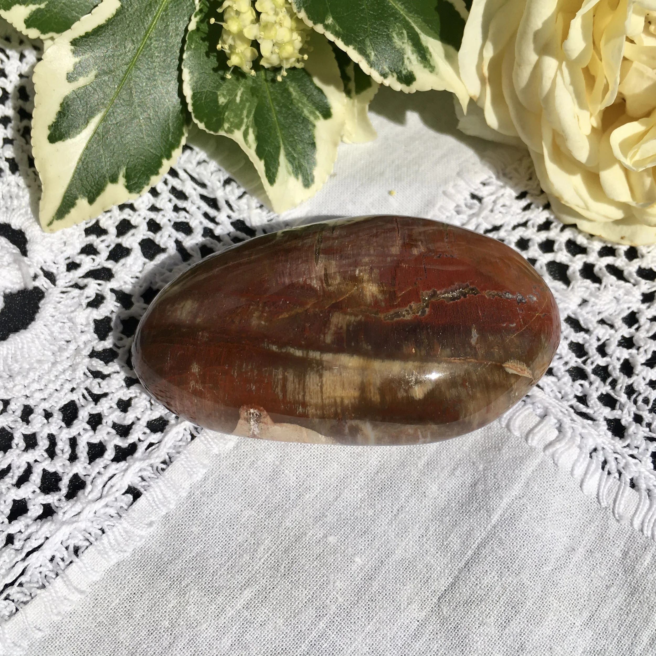 Pet wood pebble 16a.jpeg