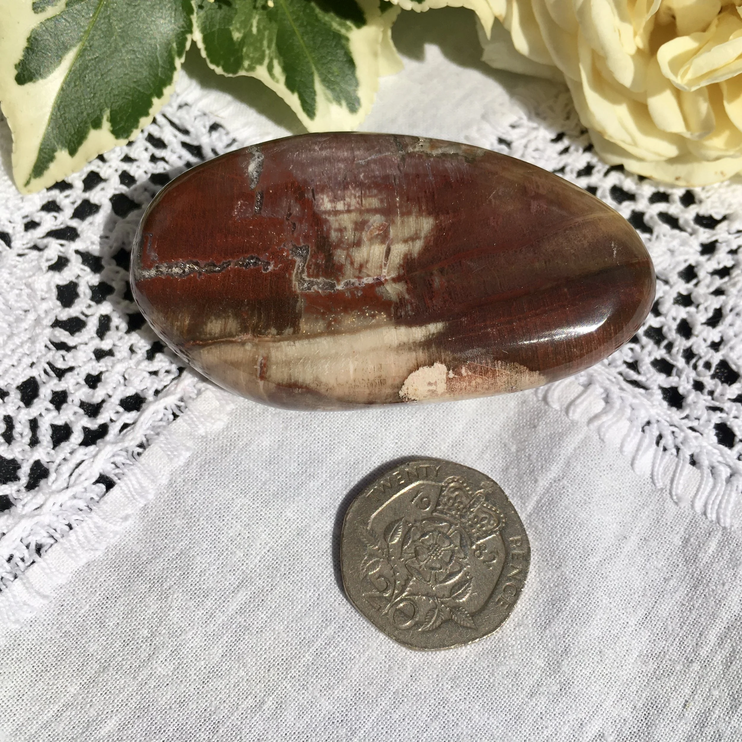 Pet wood pebble 16b.jpeg