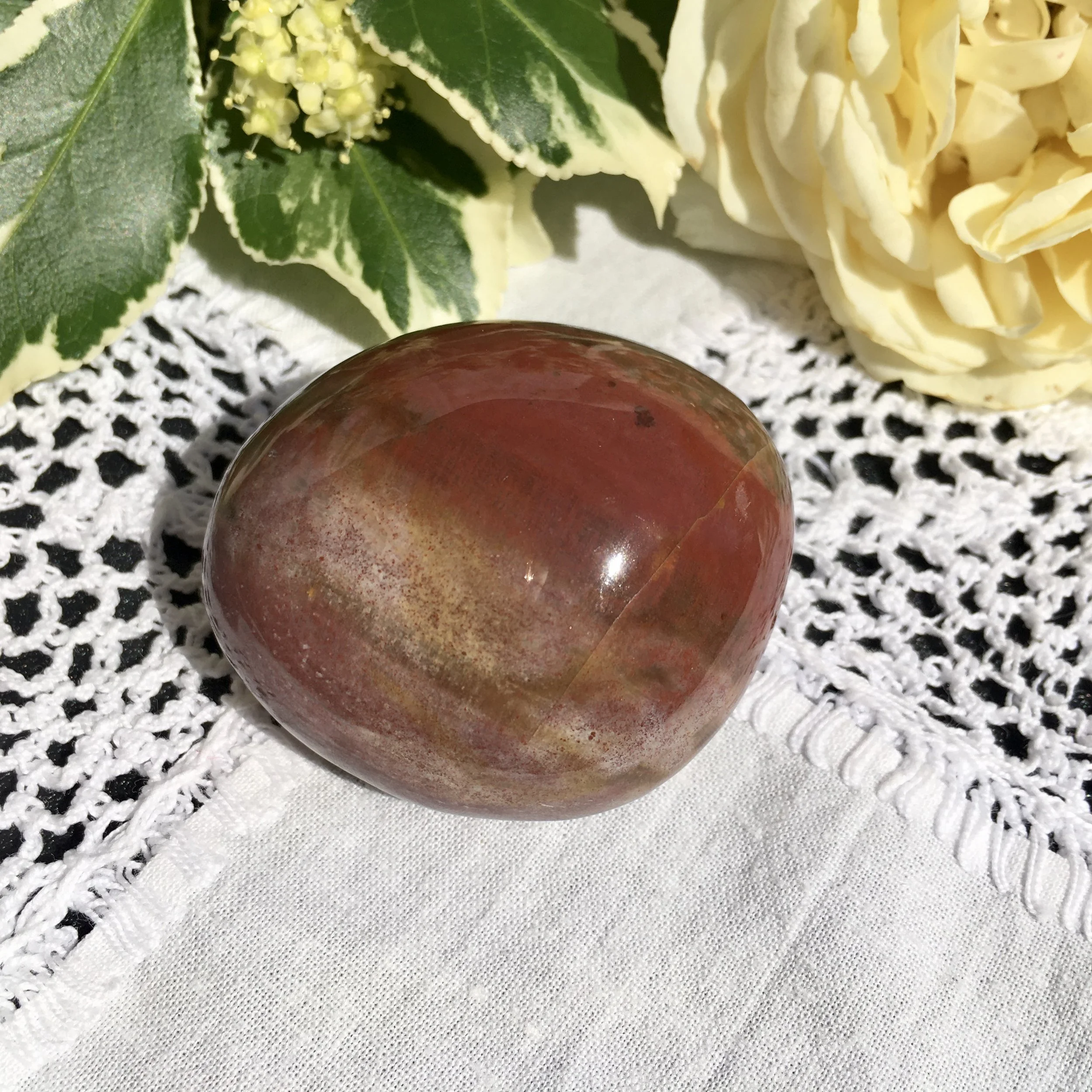 Pet wood pebble 17a.jpeg