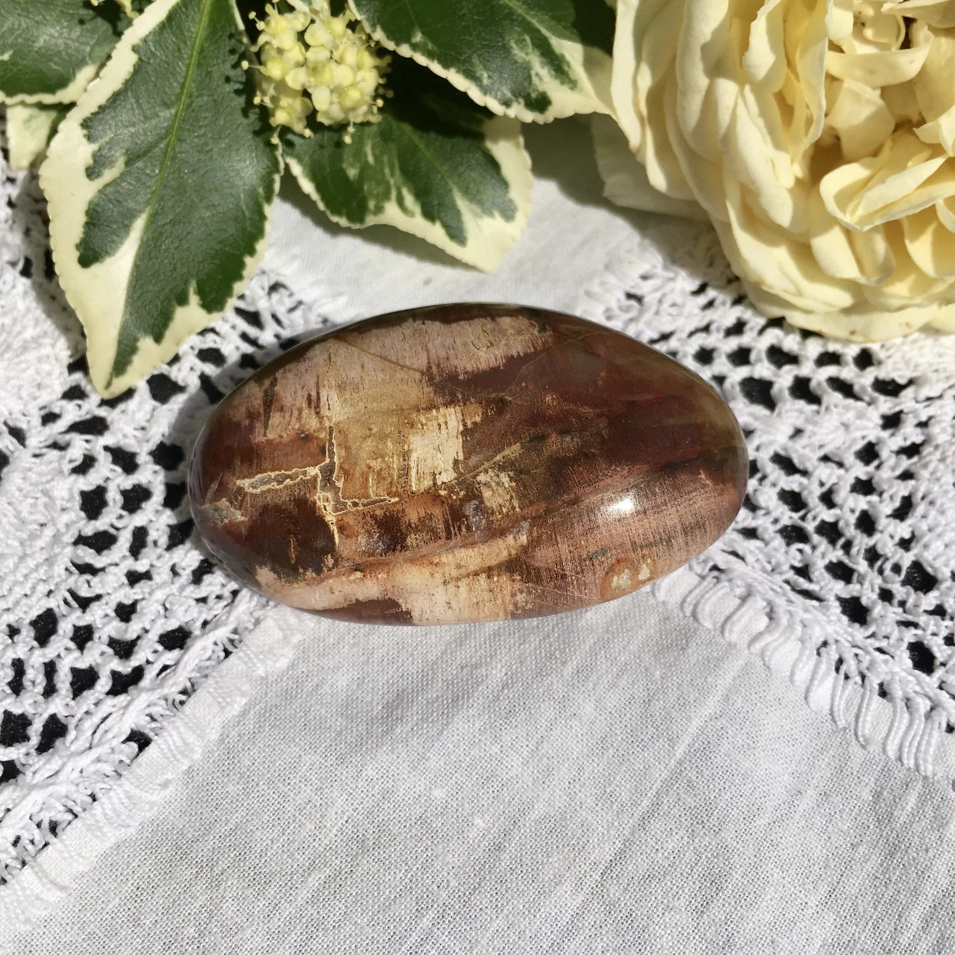 Pet wood pebble 18a.jpeg