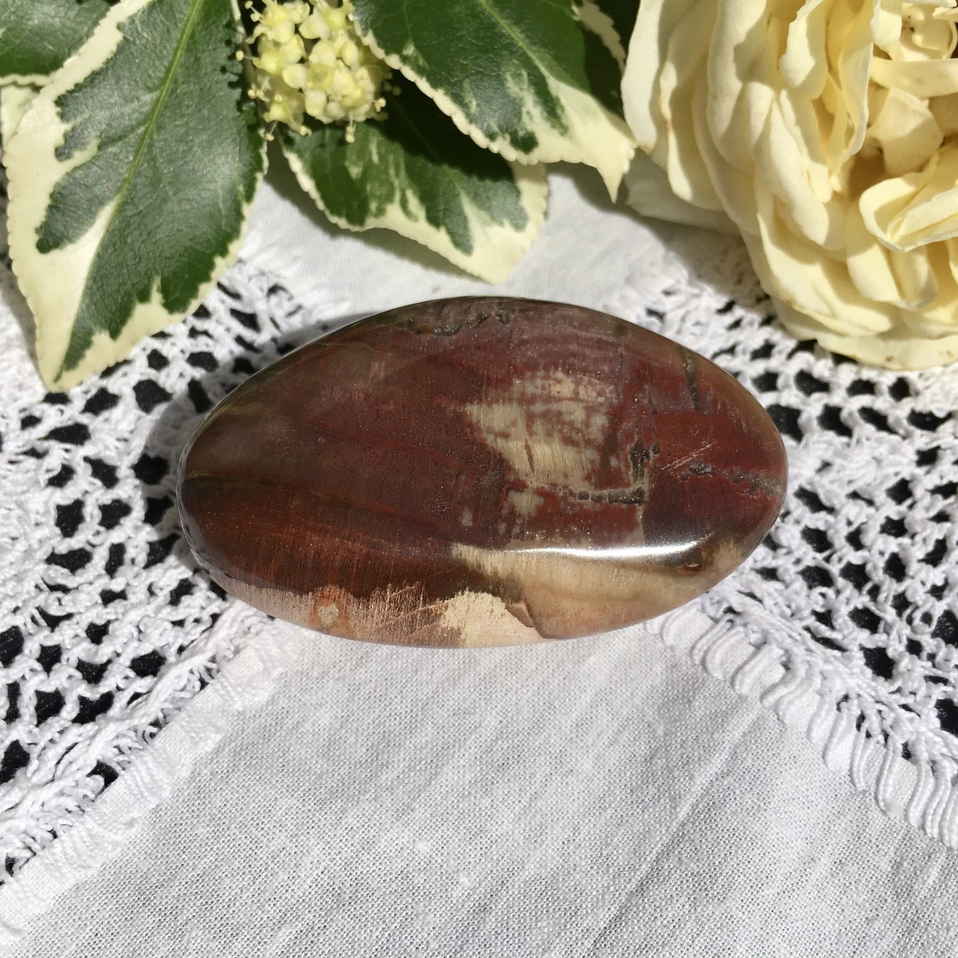 Pet wood pebble 18b.jpeg