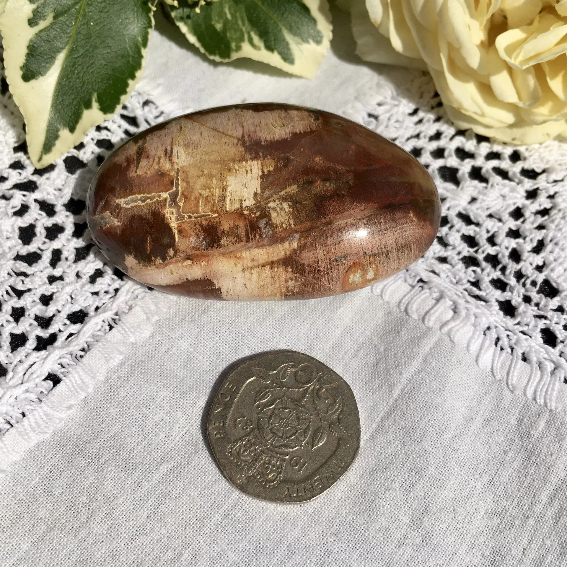 Pet wood pebble 18c.jpeg