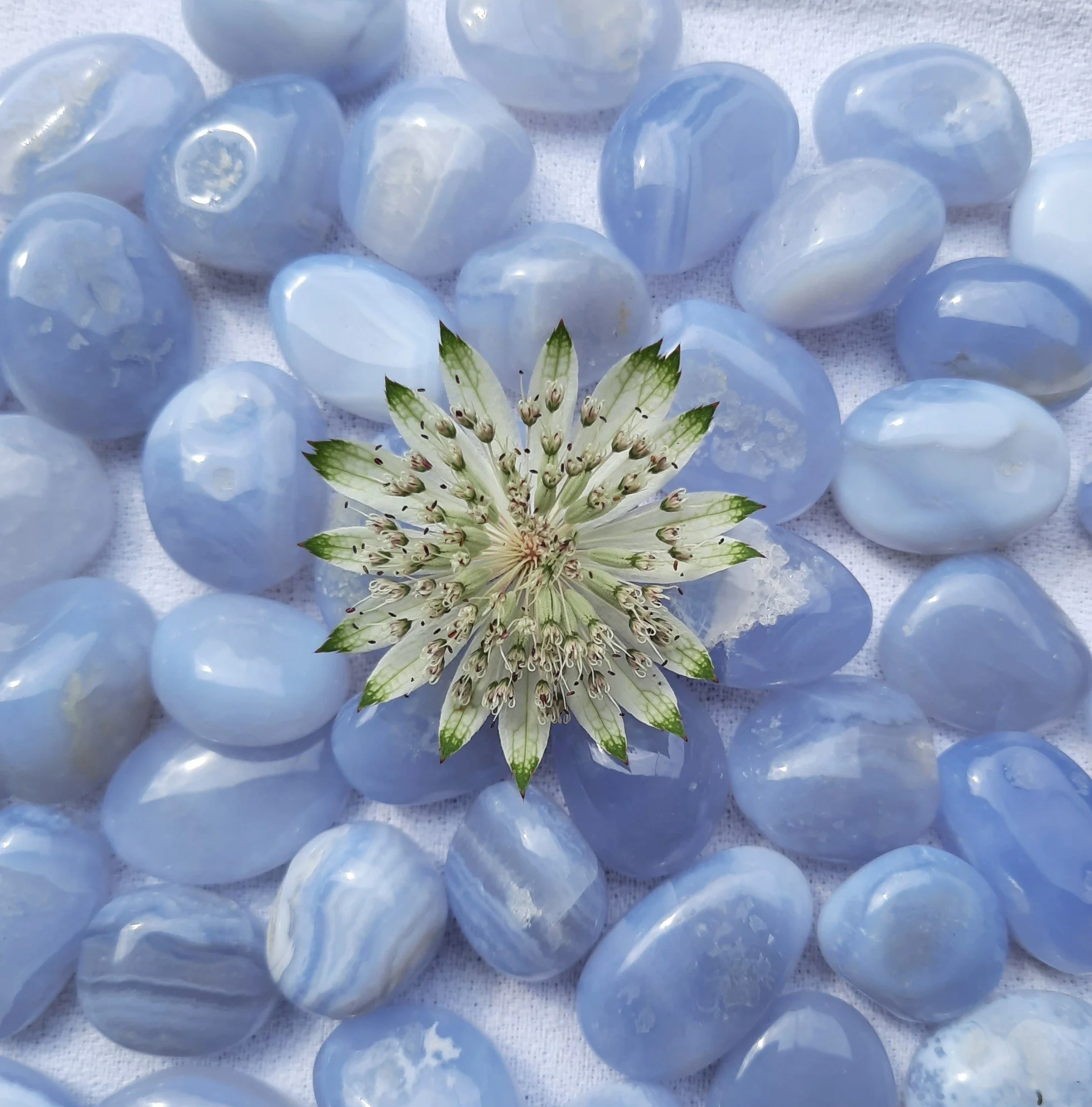 Blue Chalcedony TS AA c.jpeg