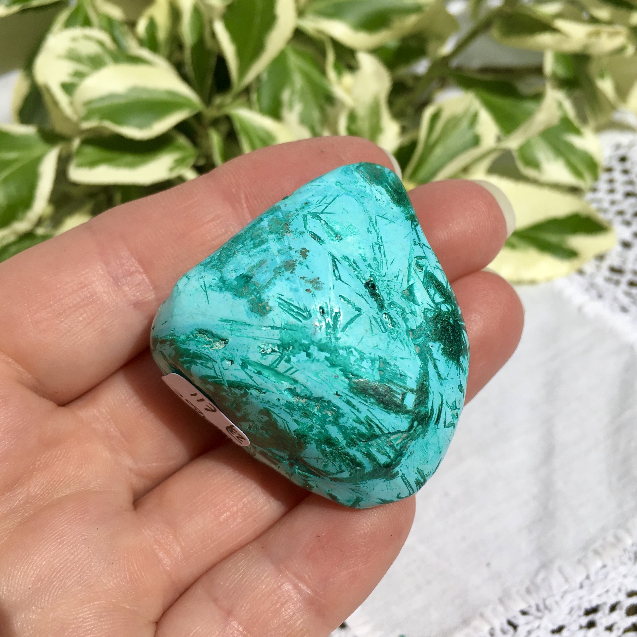Chrysocolla 23c.jpeg
