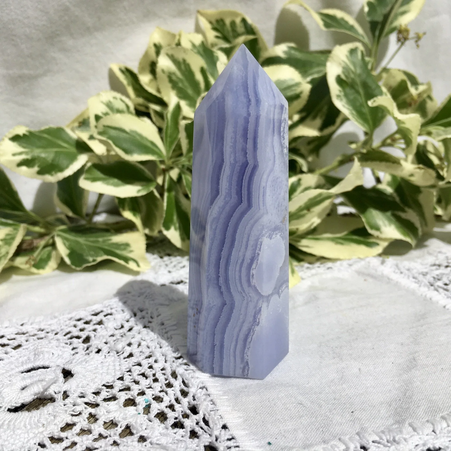 BLA Standing point 4a.jpeg