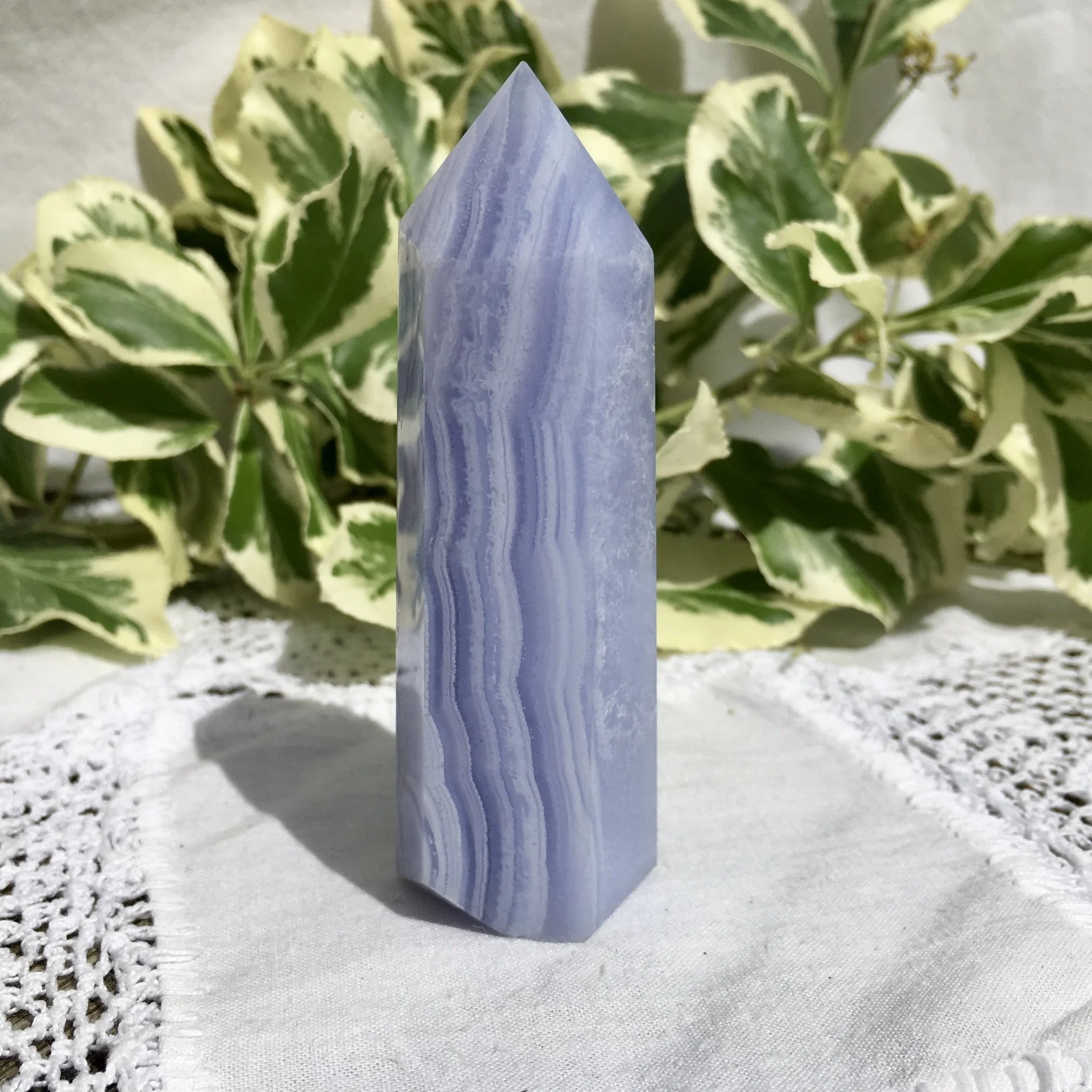 BLA Standing point 4b.jpeg