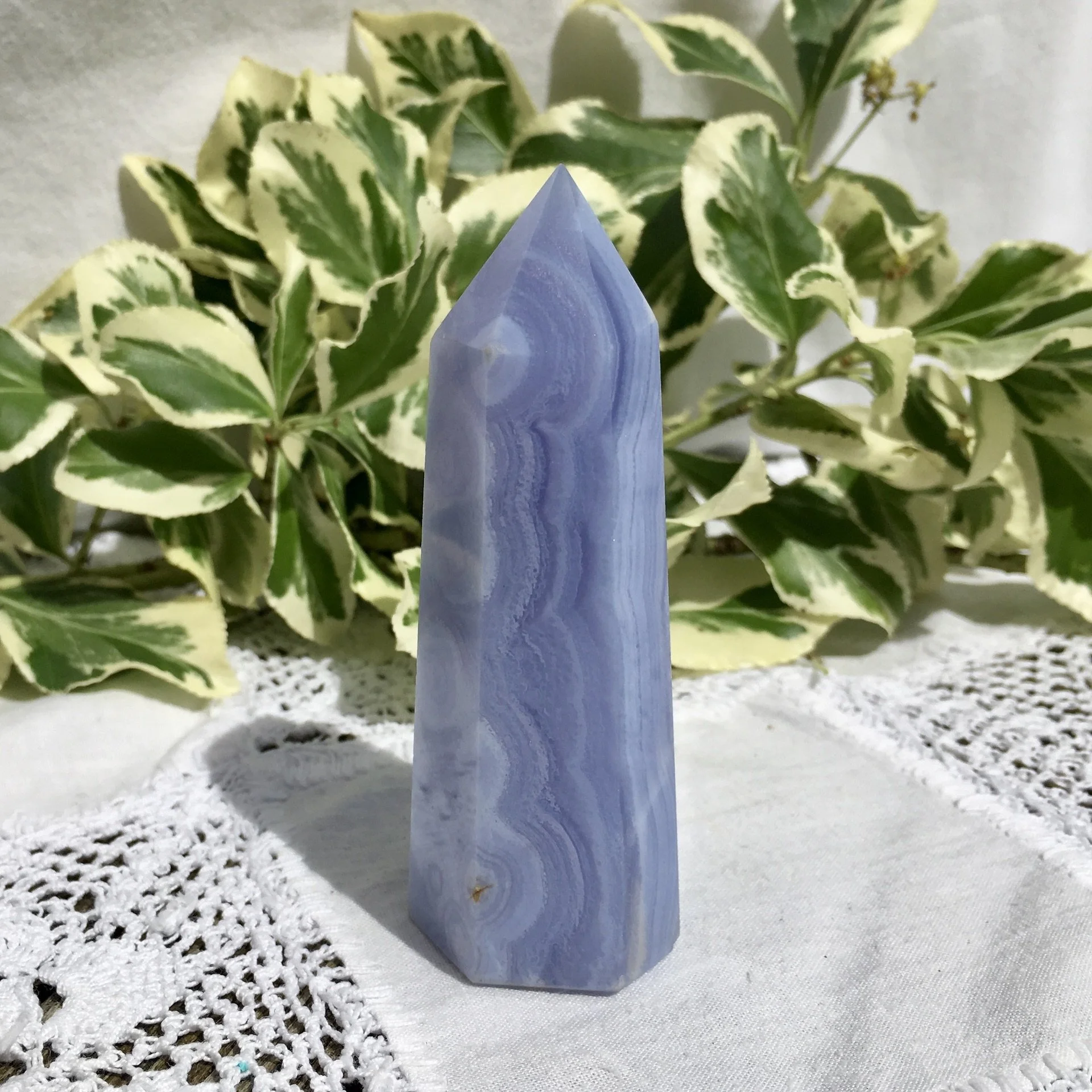 BLA Standing point 5a.jpeg