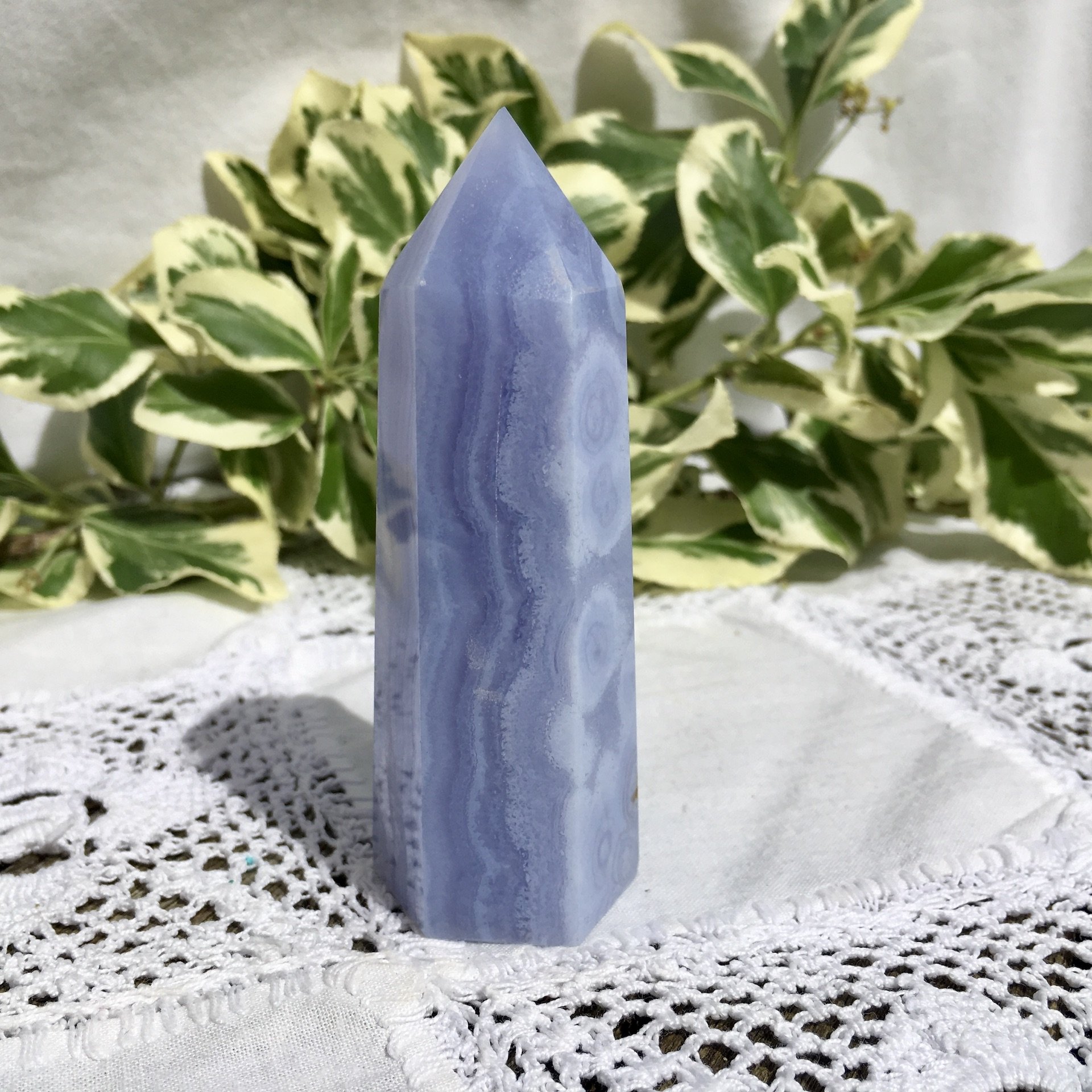 BLA Standing point 5b.jpeg