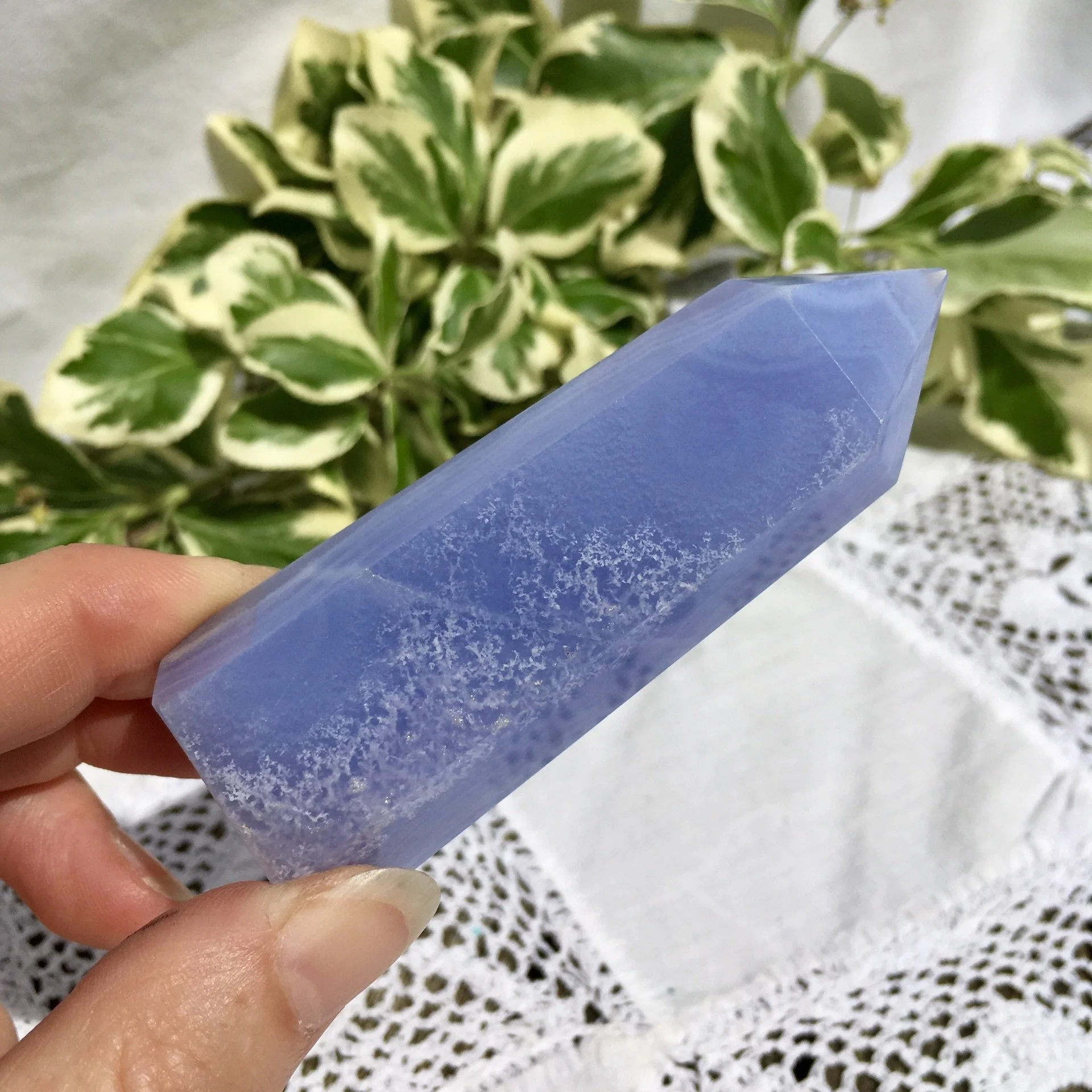 BLA Standing point 5d.jpeg