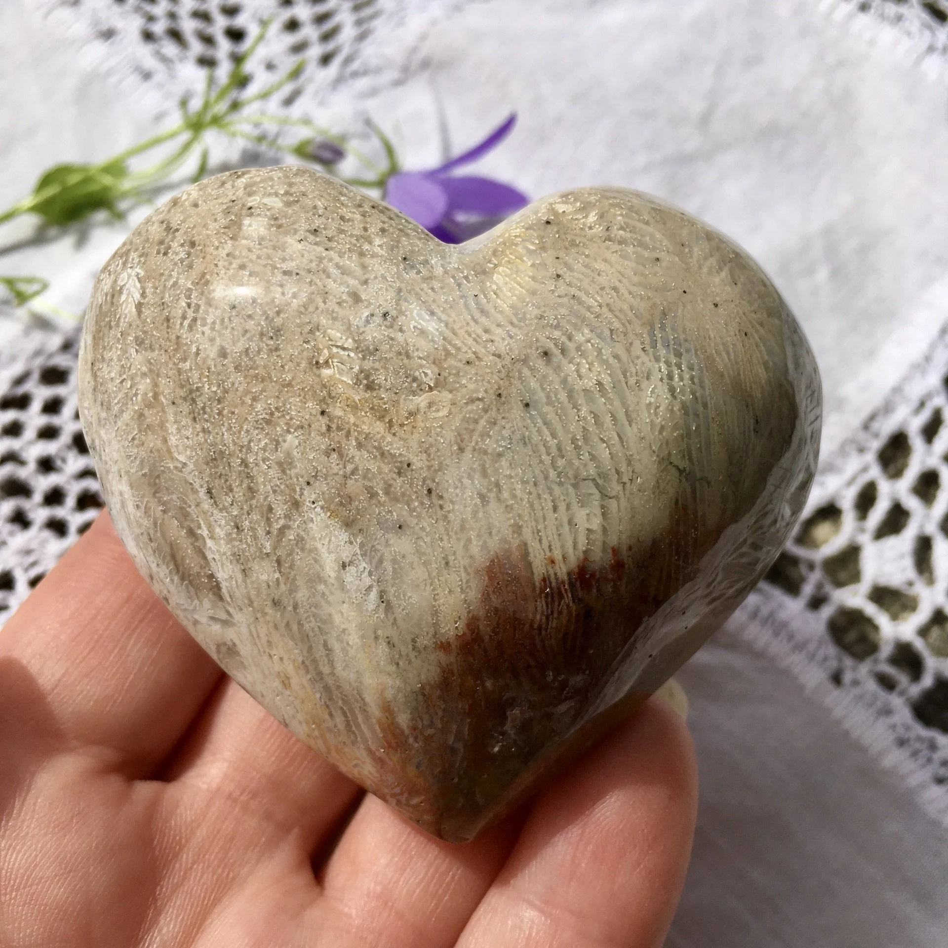 Fossil Coral heart c.jpeg
